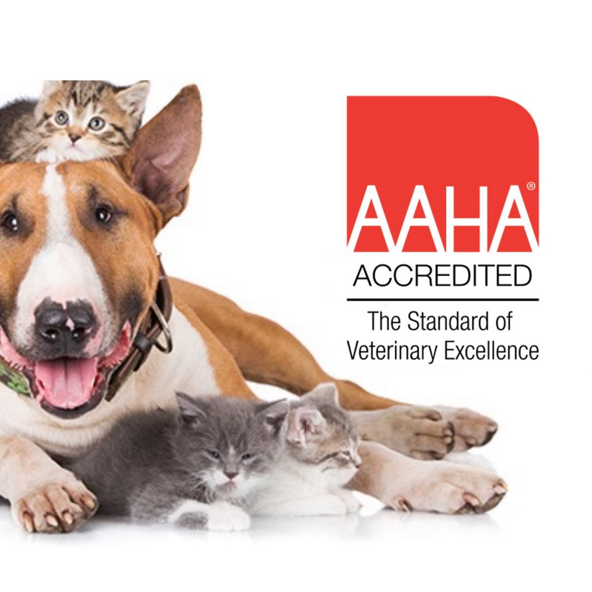 Clevengers Corner Veterinary Care Amissville