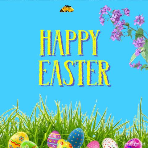 Peace of Mind Pest Services