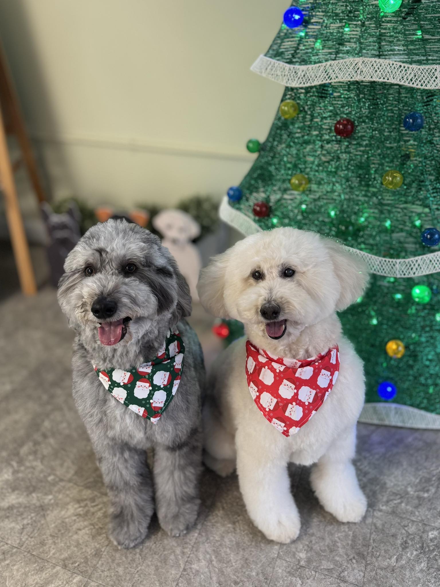 Bessie's Pet Grooming Annandale