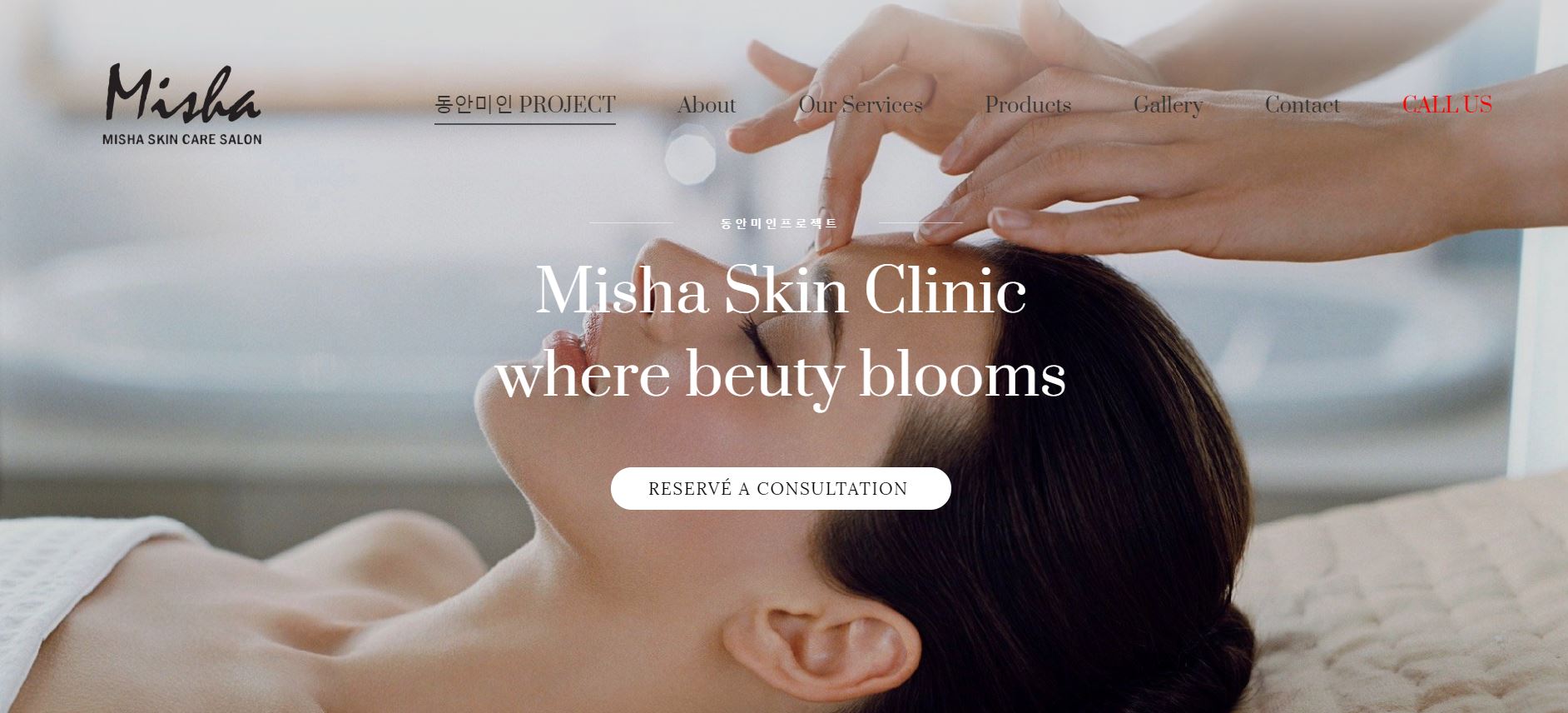 Misha Skin Clinic (미샤 스킨 클리닉)