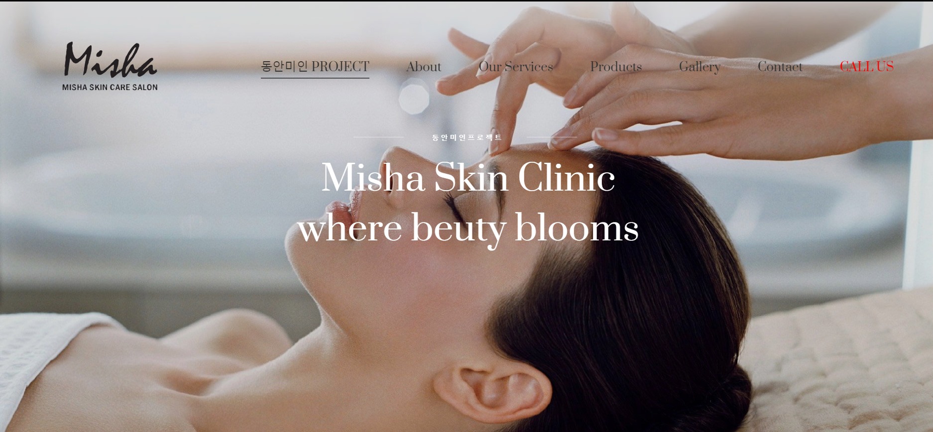 Misha Skin Clinic (미샤 스킨 클리닉)