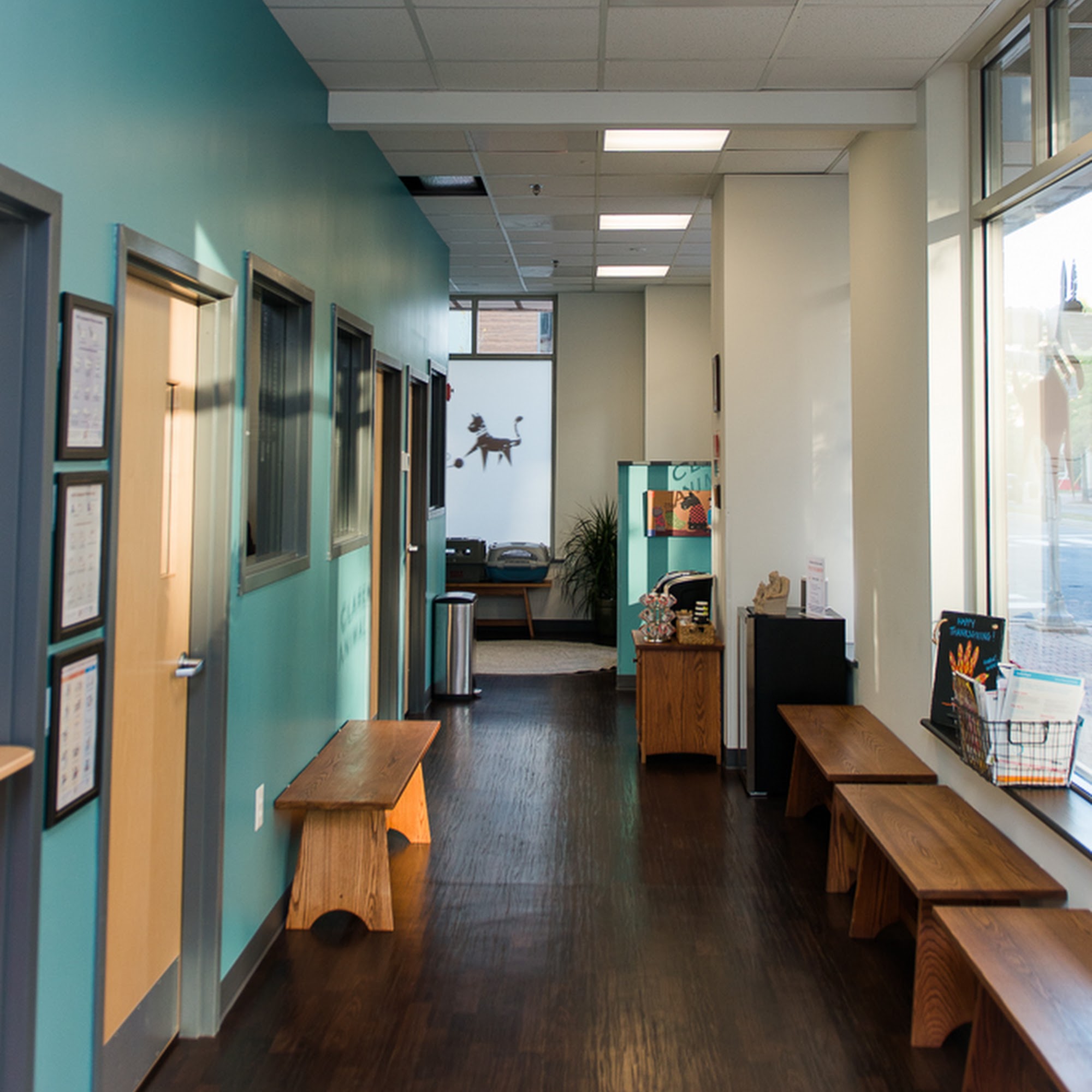 Clarendon Animal Care Arlington