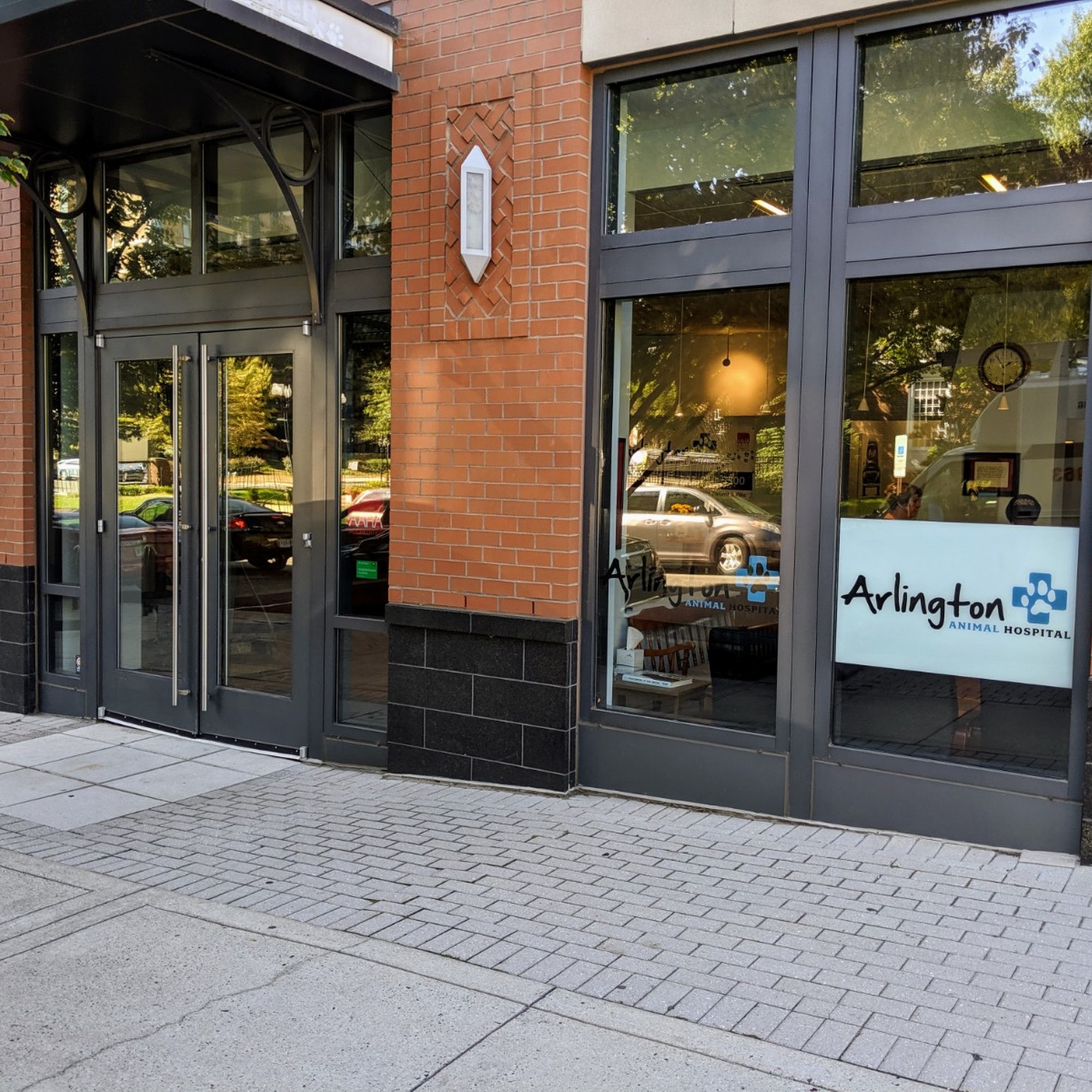 Arlington Animal Hospital Arlington