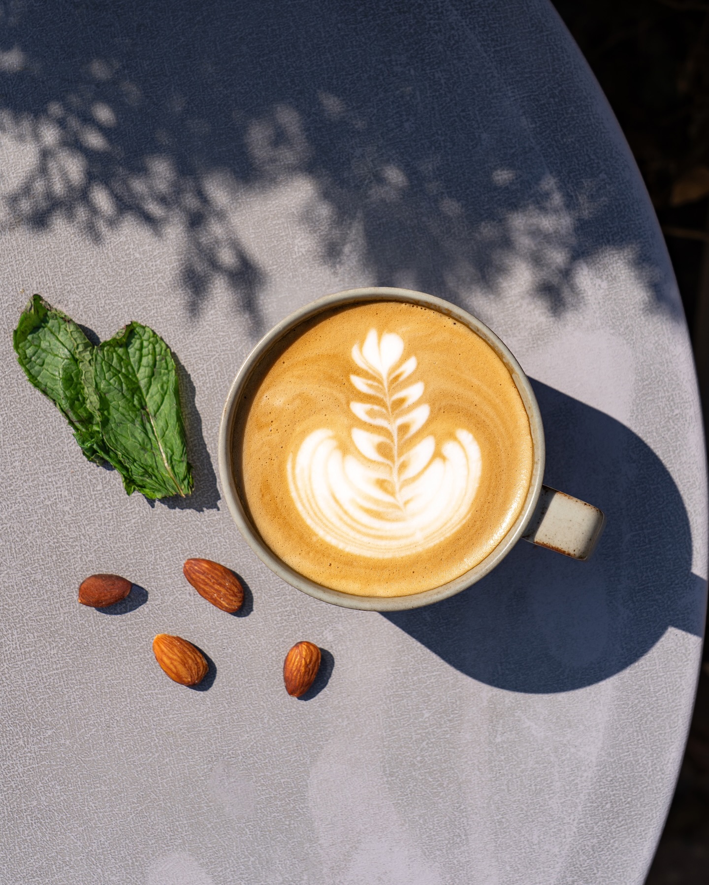 Simona Cafe Arlington