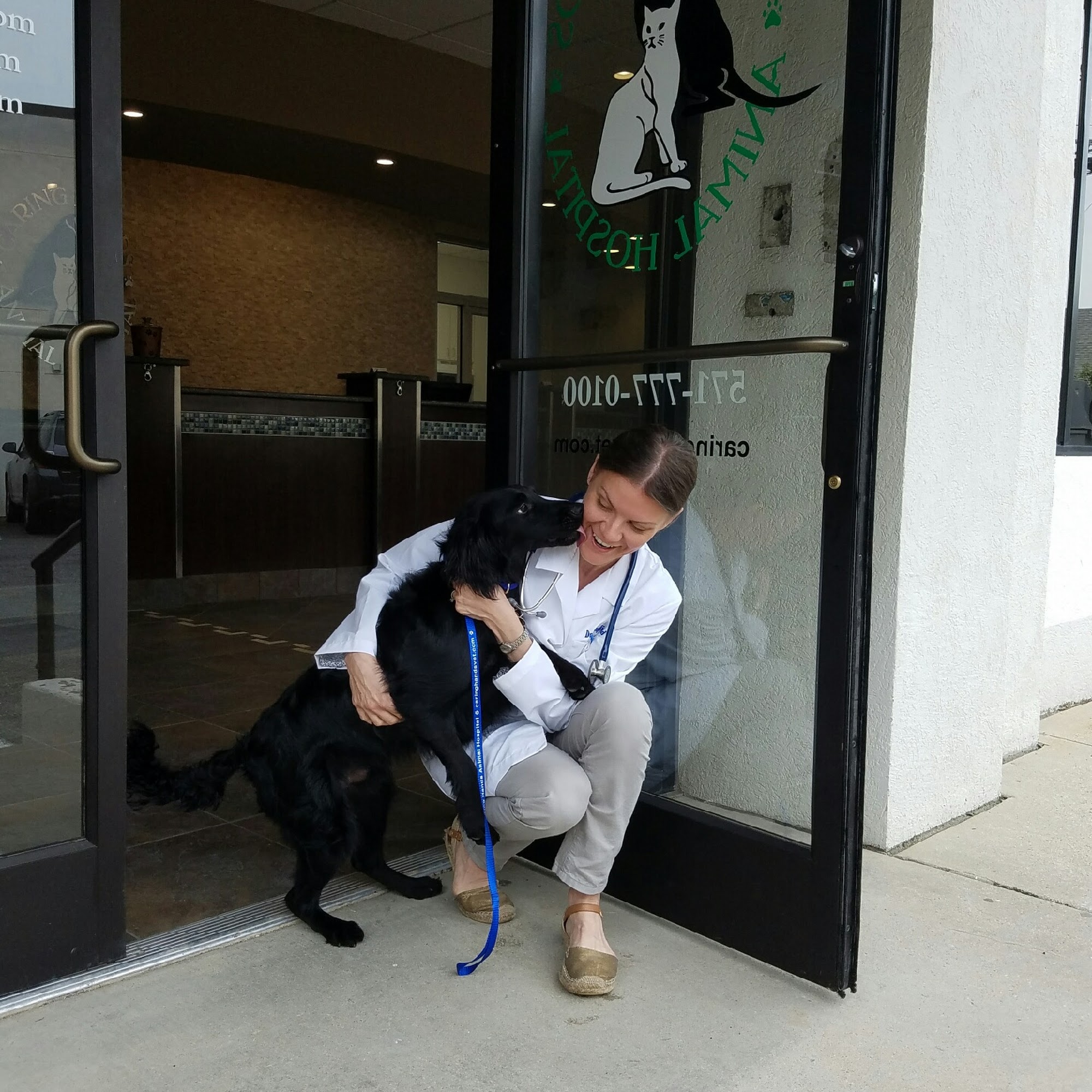 Caring Hands Animal Hospital - Clarendon Arlington