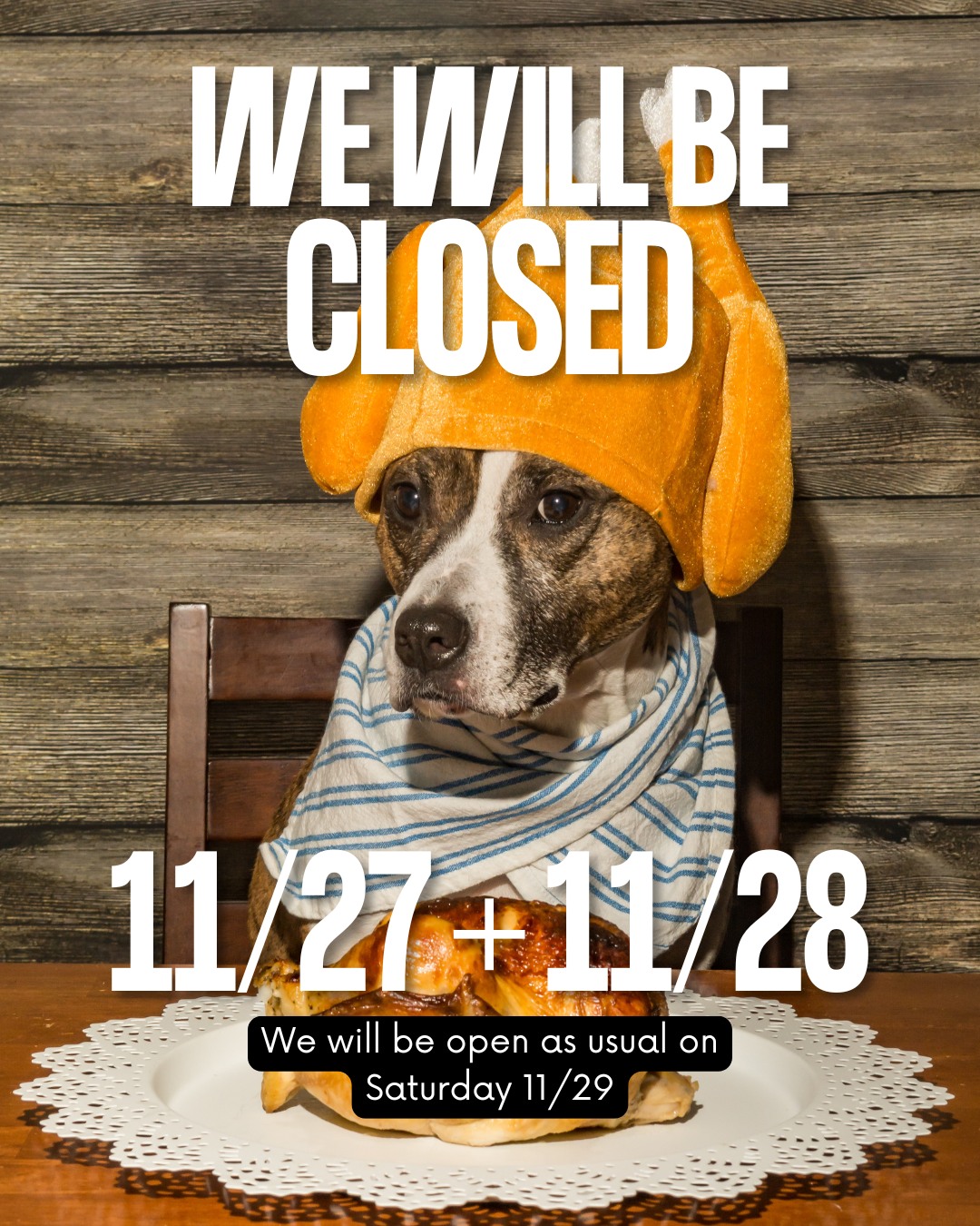 Clarendon Animal Care - Columbia Pike - South Arlington Arlington