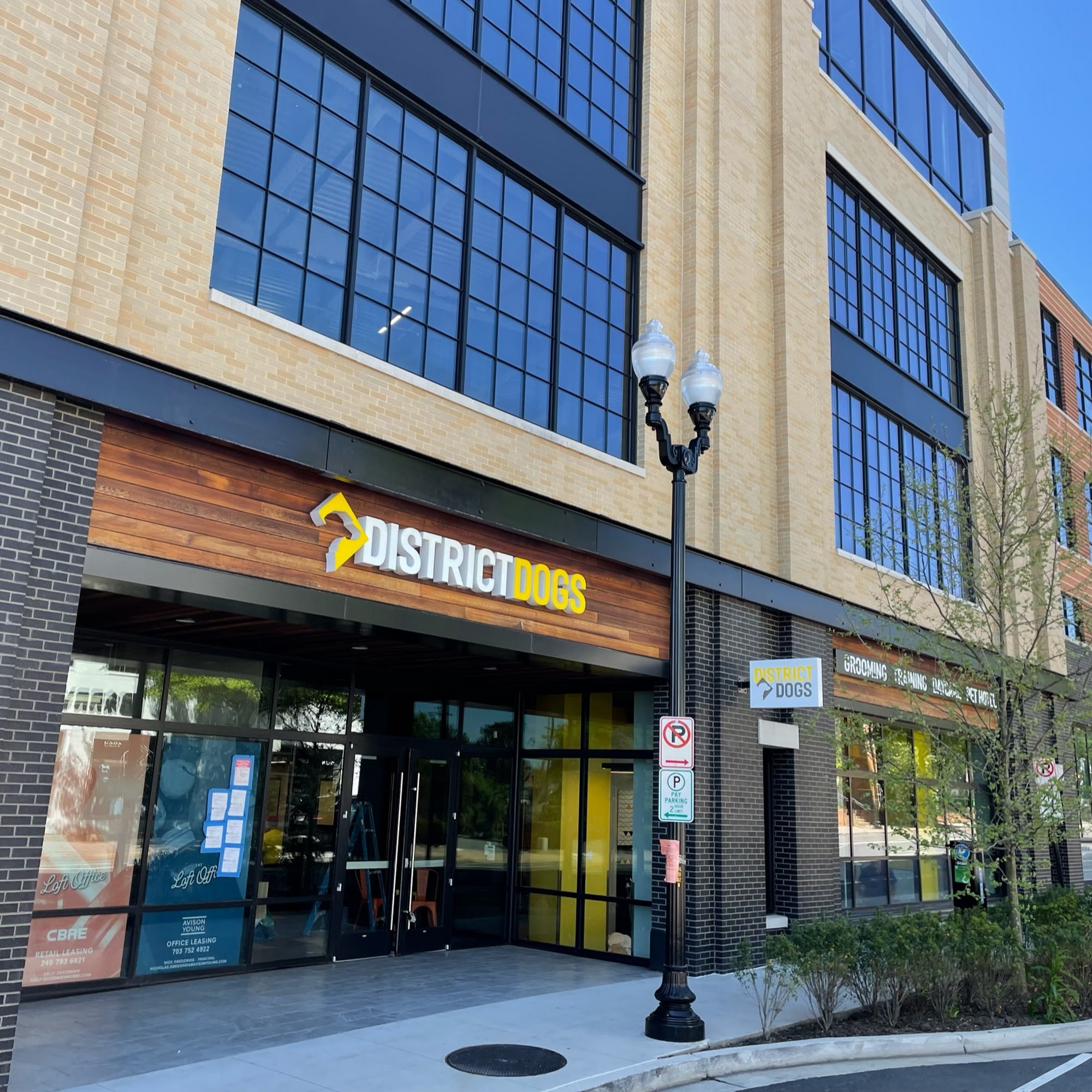 District Dogs Clarendon Arlington