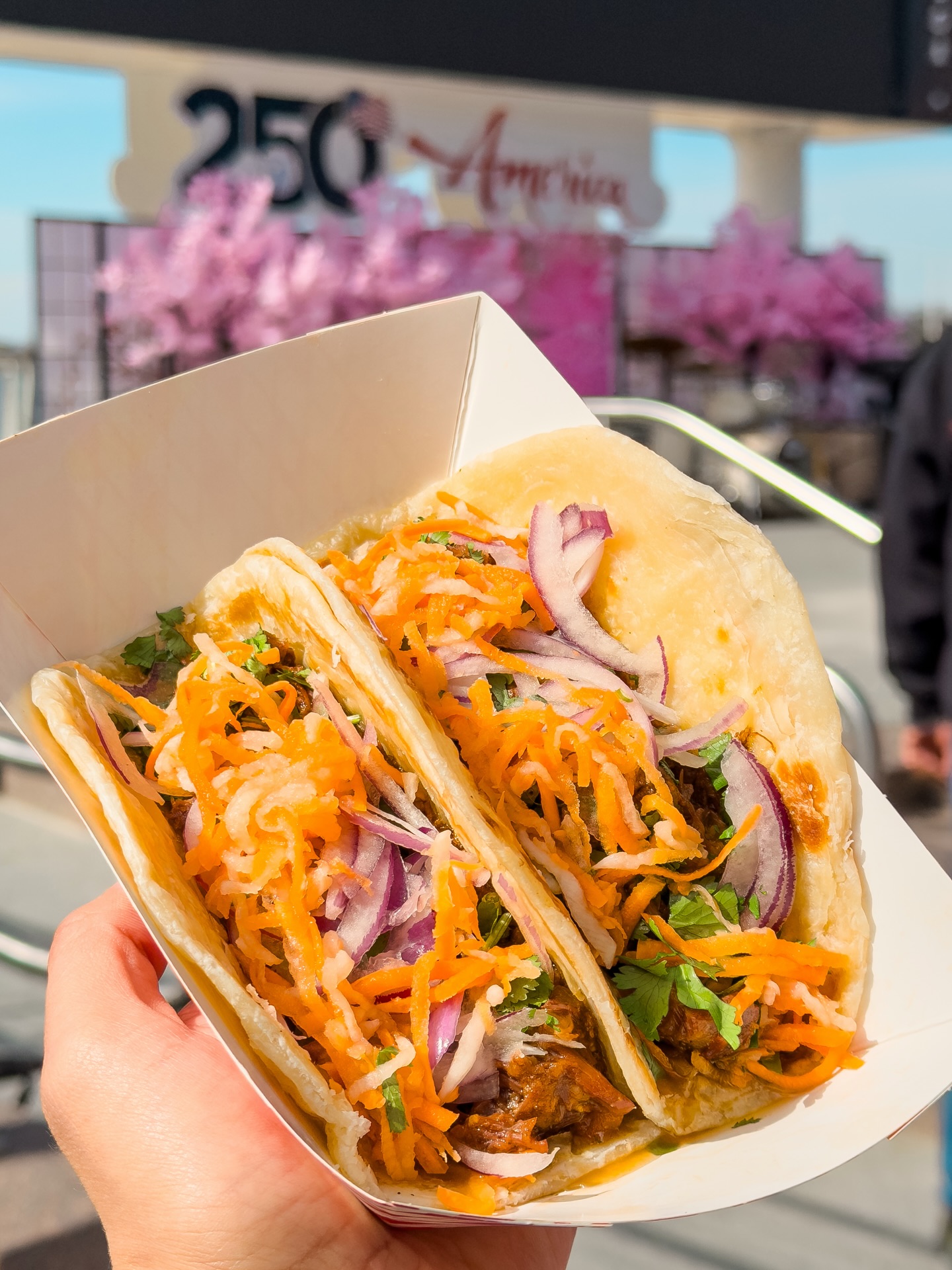 PhoWheels at The Water Park Arlington