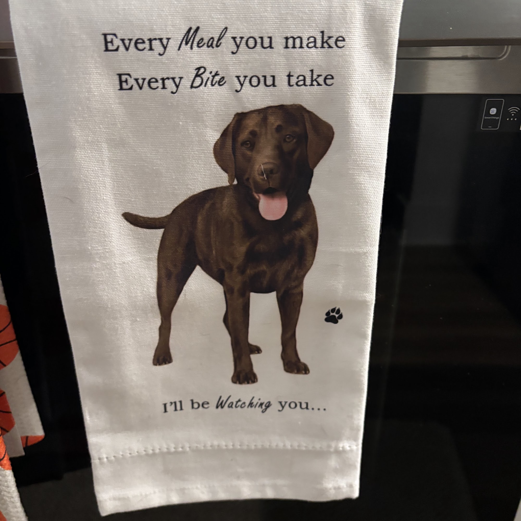 Pooch Pals LLC - Dog Walker Arlington