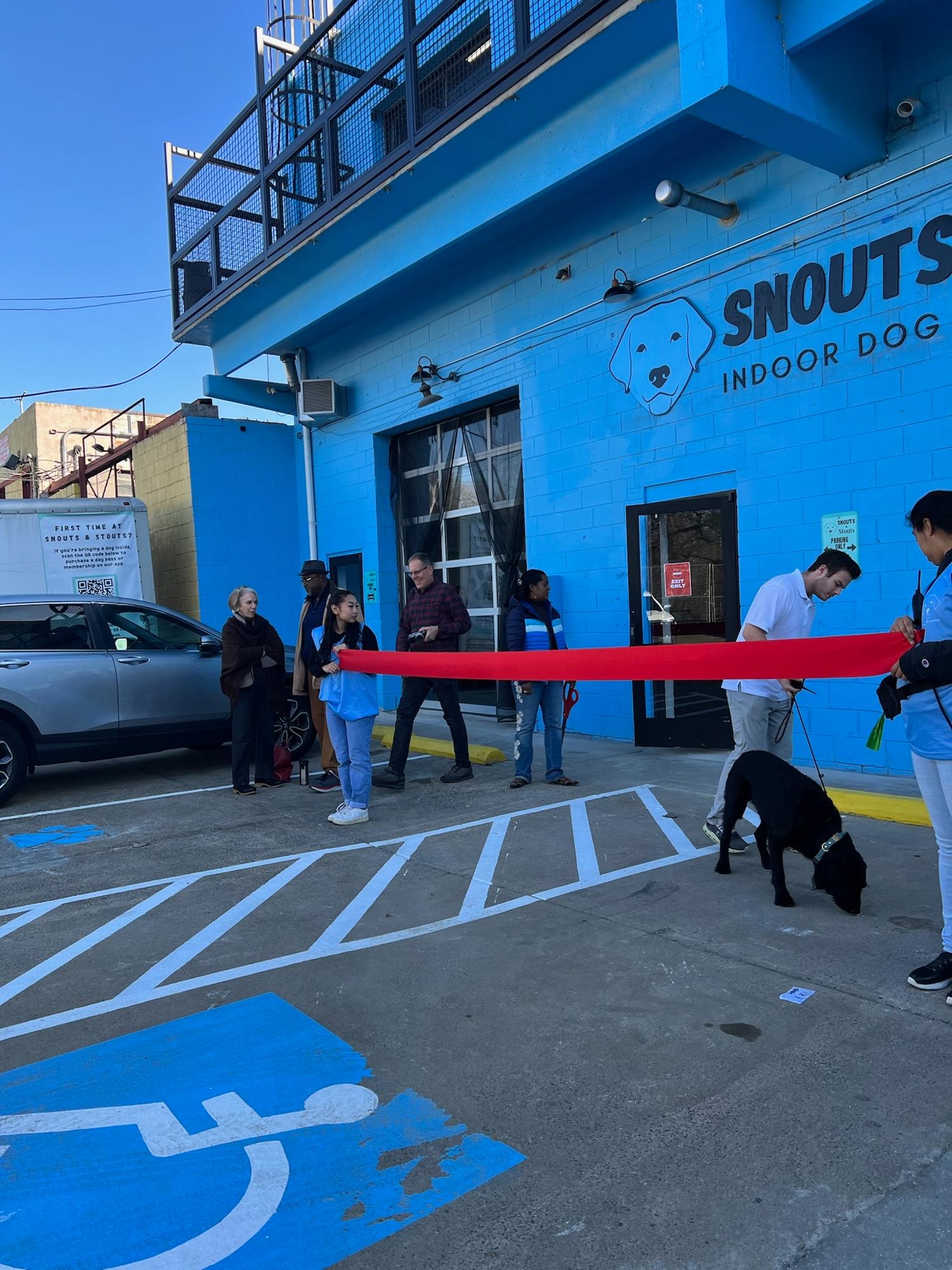 Snouts & Stouts - Indoor Dog Park & Bar Arlington