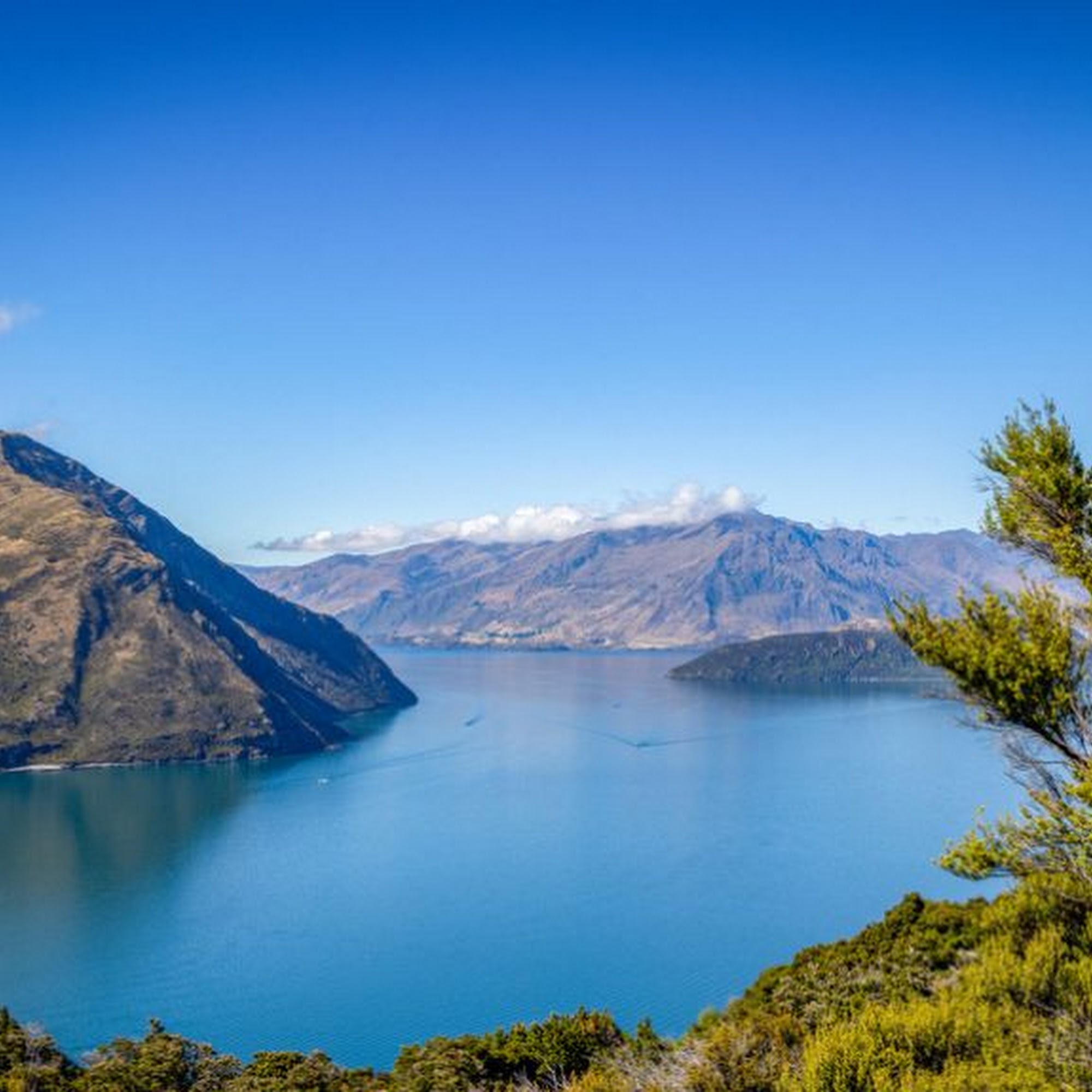 Downunder Journeys LLC Arlington