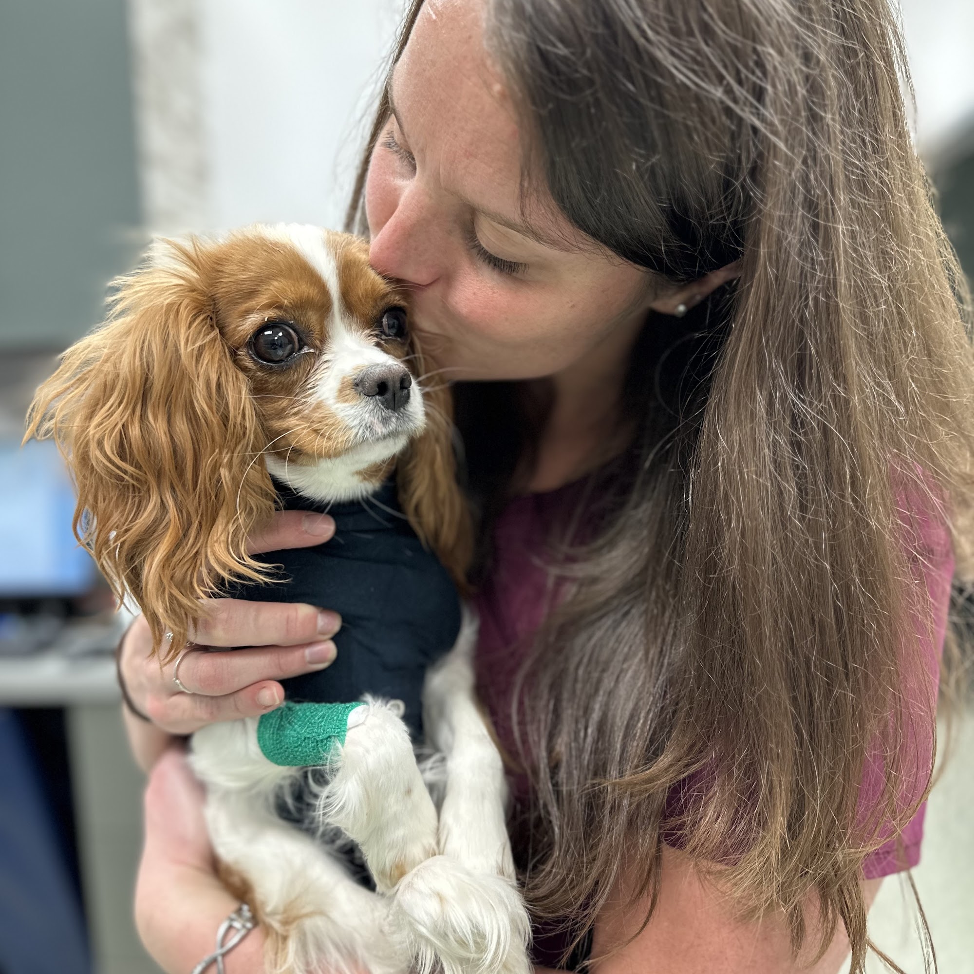 Animal Medical Centers of Loudoun - Brambleton Ashburn