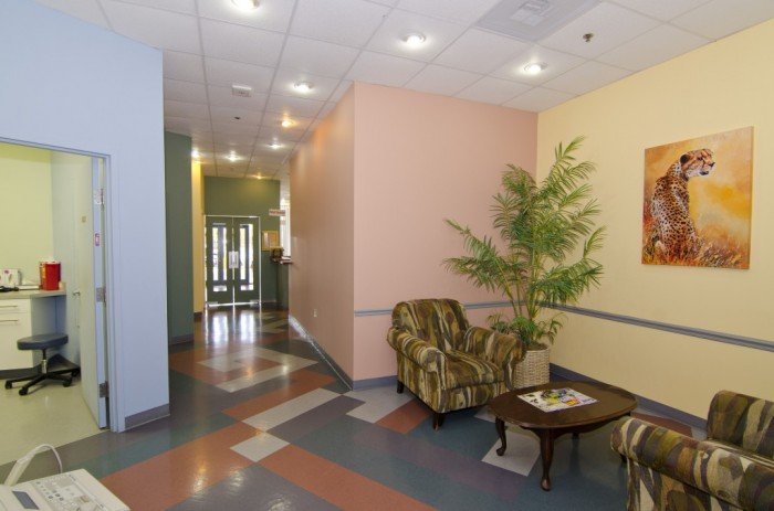 Ghasemzadeh Roksana MD