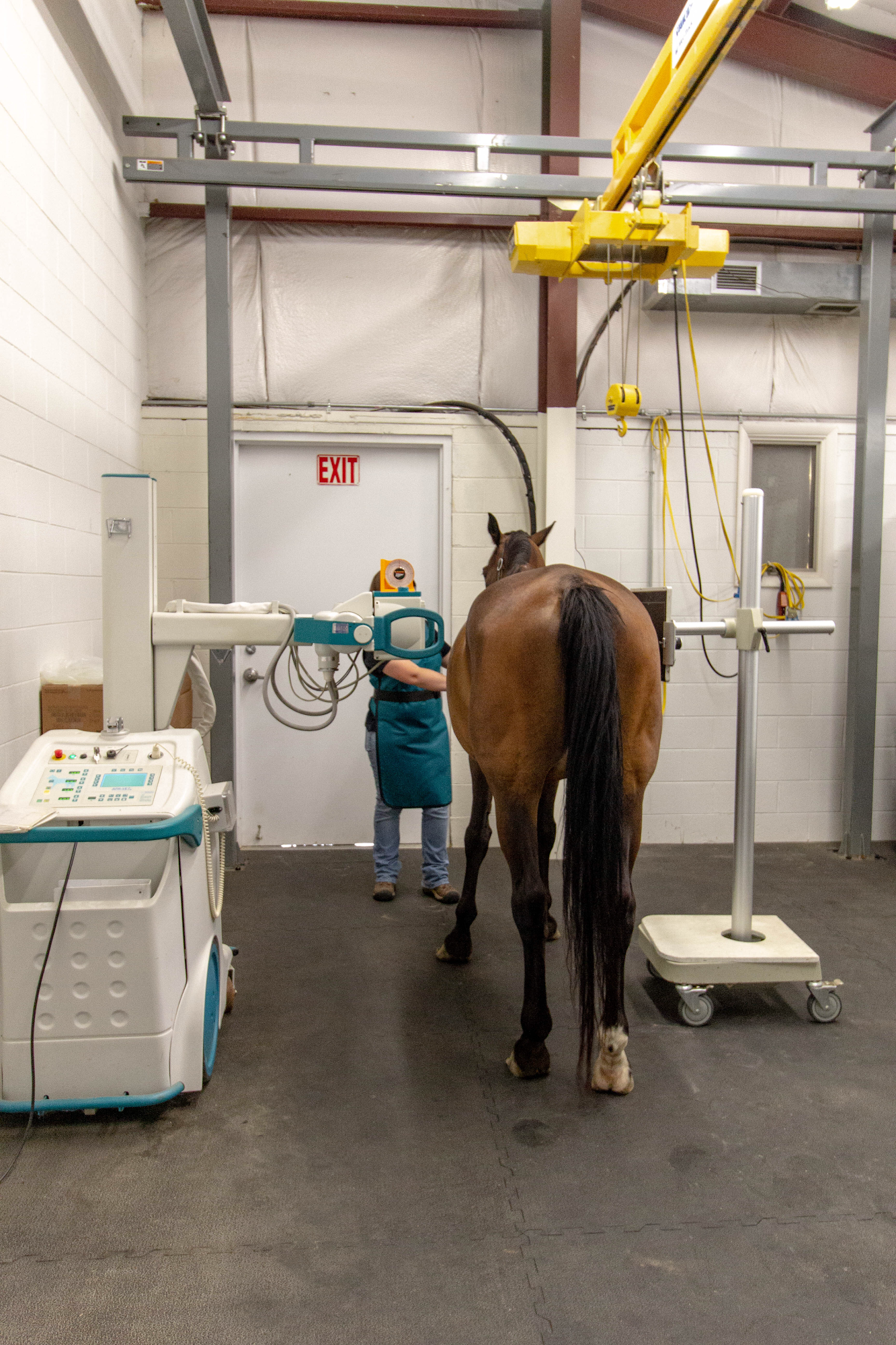 Woodside Equine Clinic Ashland