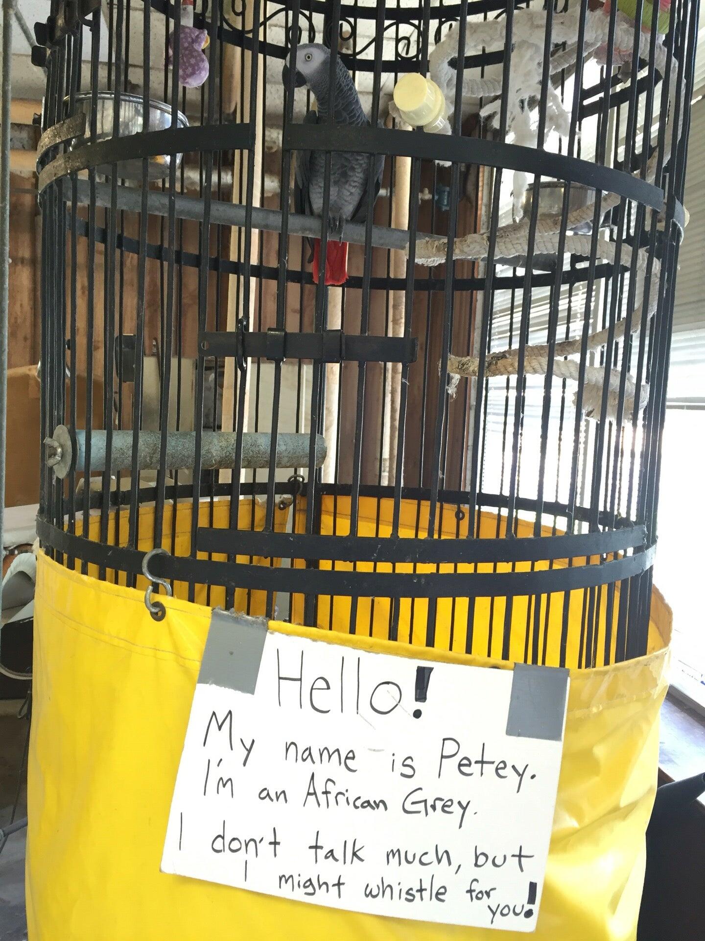 Photo credit: nextdoor