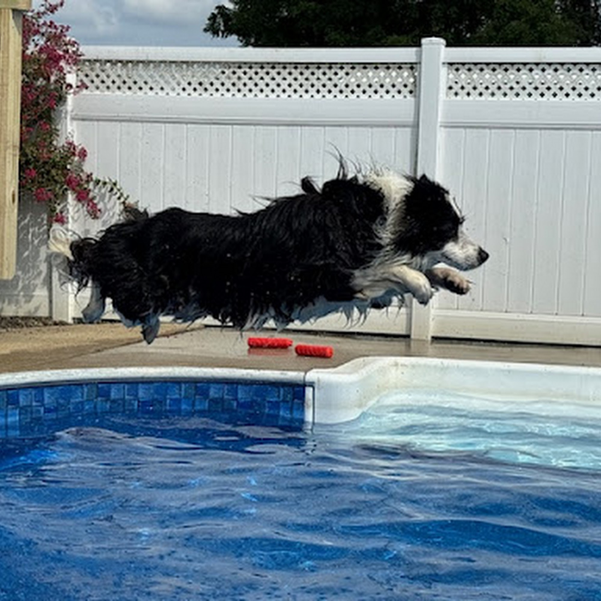 Wingmont Stables & Kennels Inc Aylett