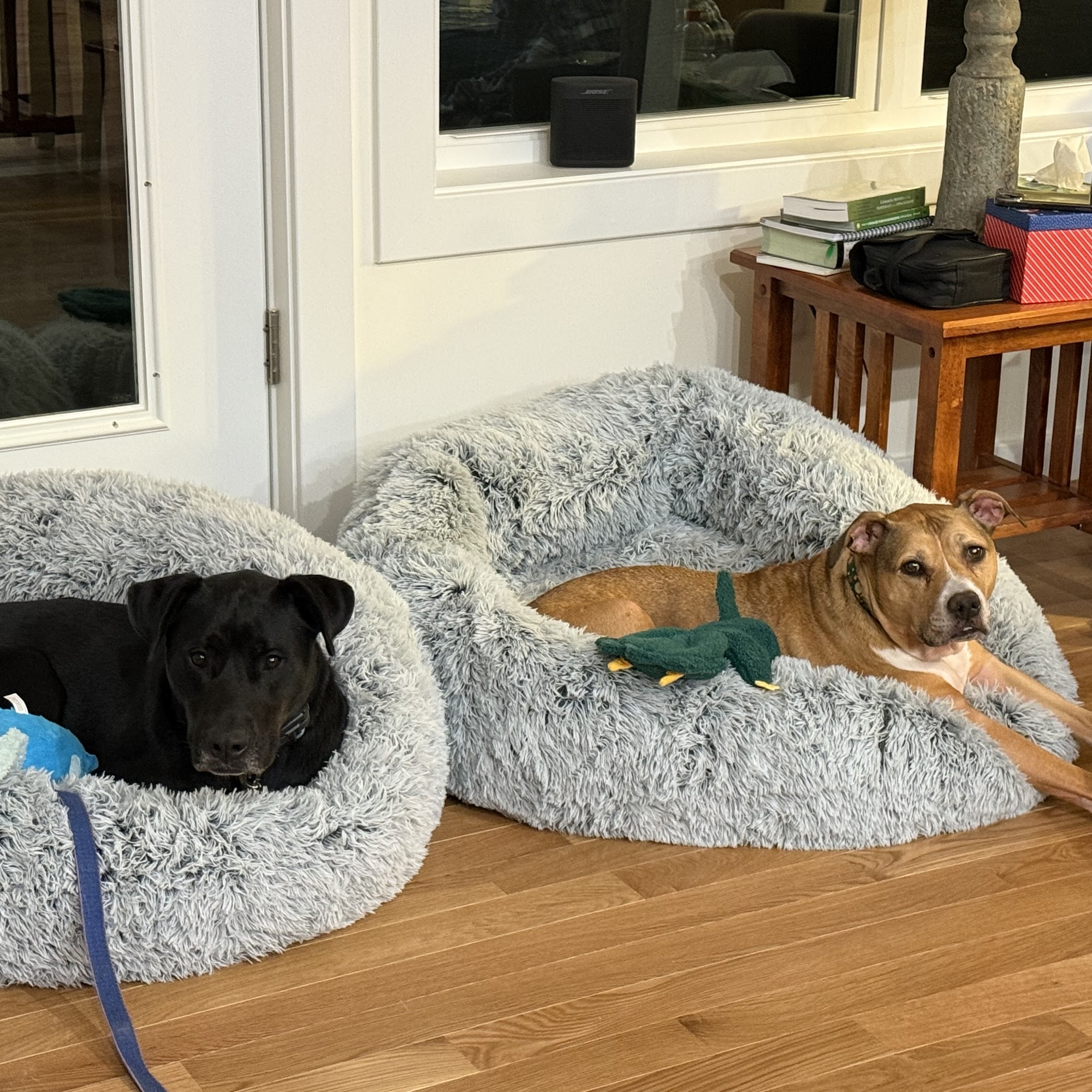 Fox Hollow Kennel Barboursville