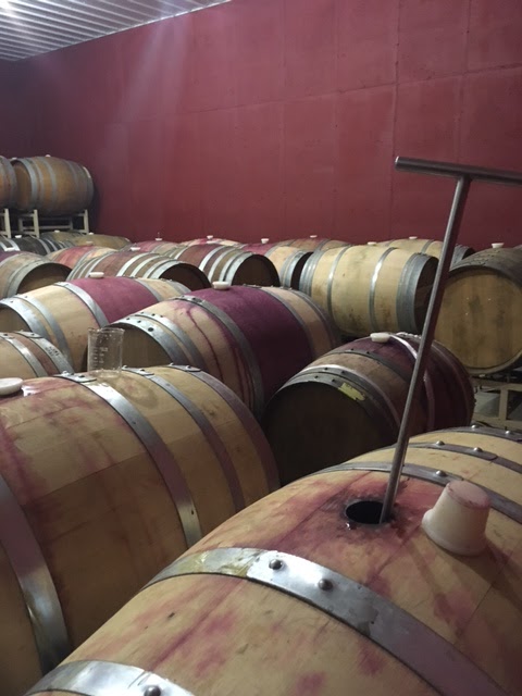 Chestnut Oak Vineyard Barboursville