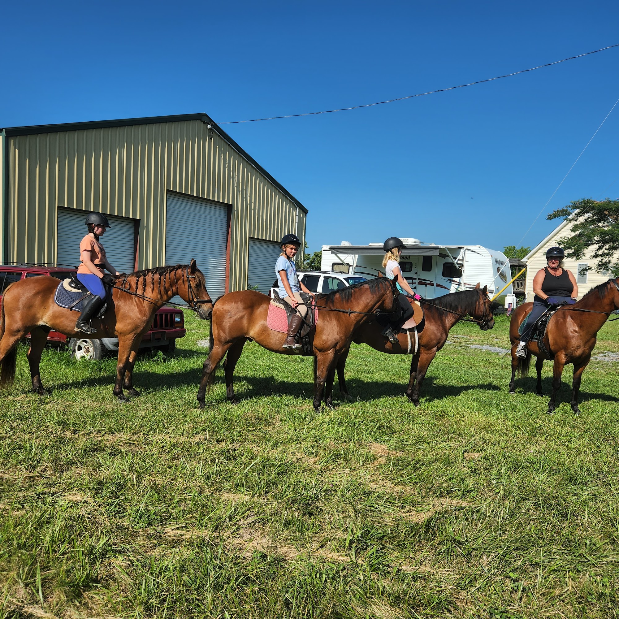 Morning Mist Farm Berryville