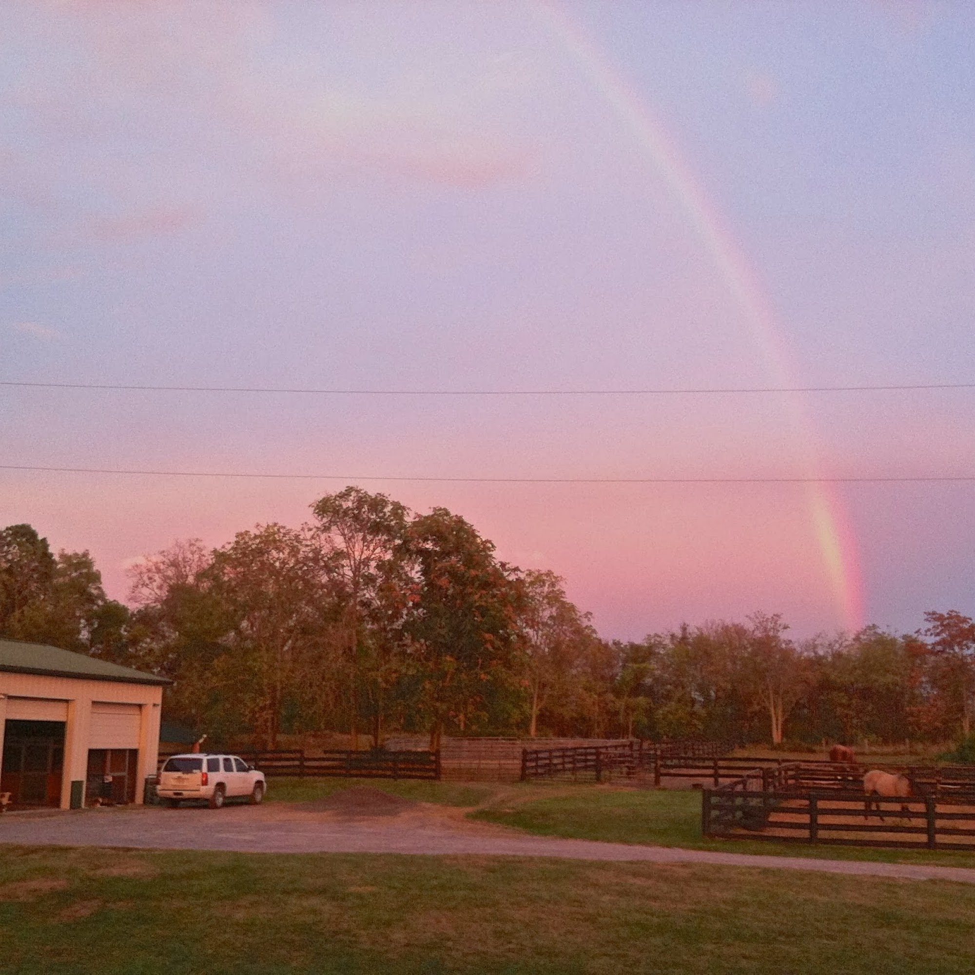 Clarke Equine Wellness and Performance Berryville