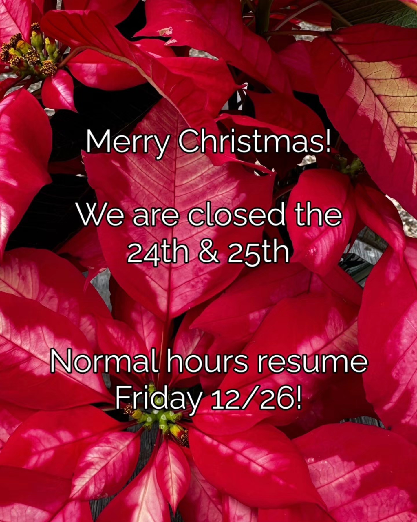 Eastern Divide Brewing Company Blacksburg