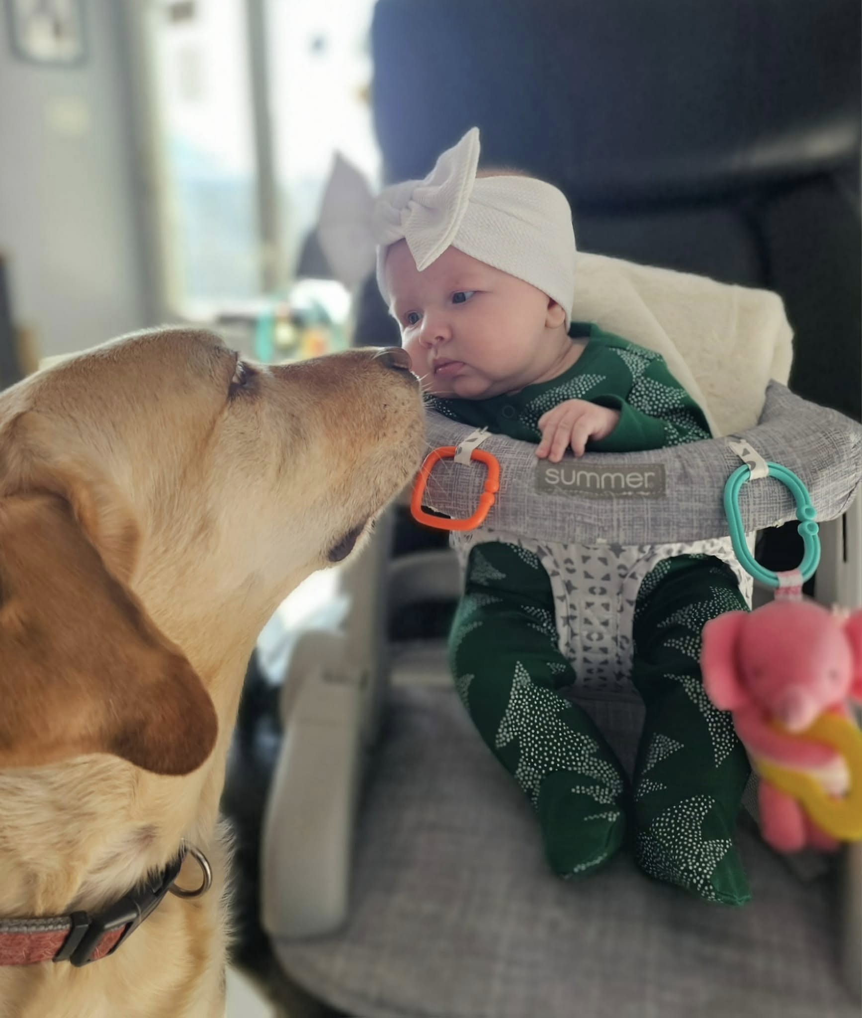 Fenton Pump Services