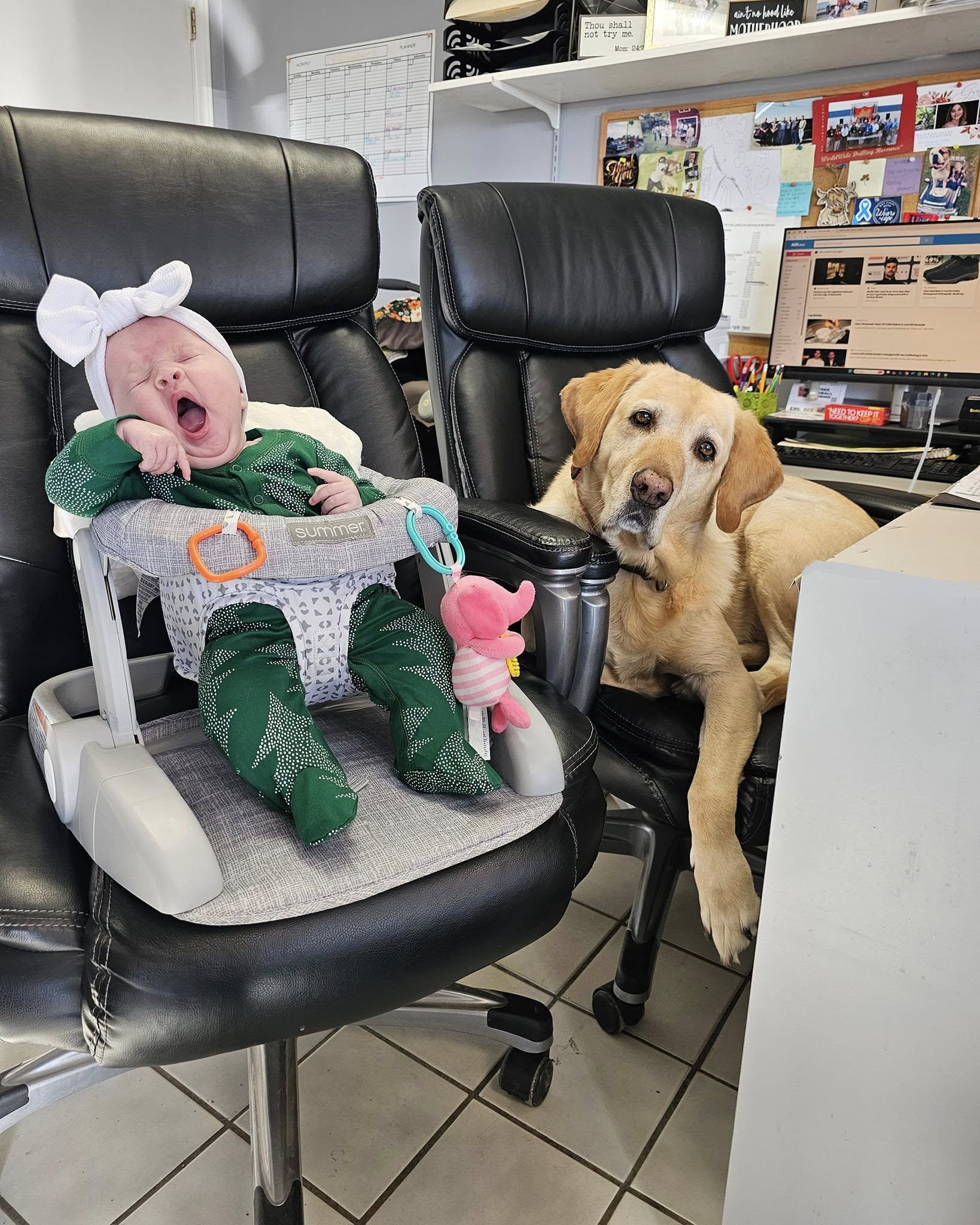 Fenton Pump Services