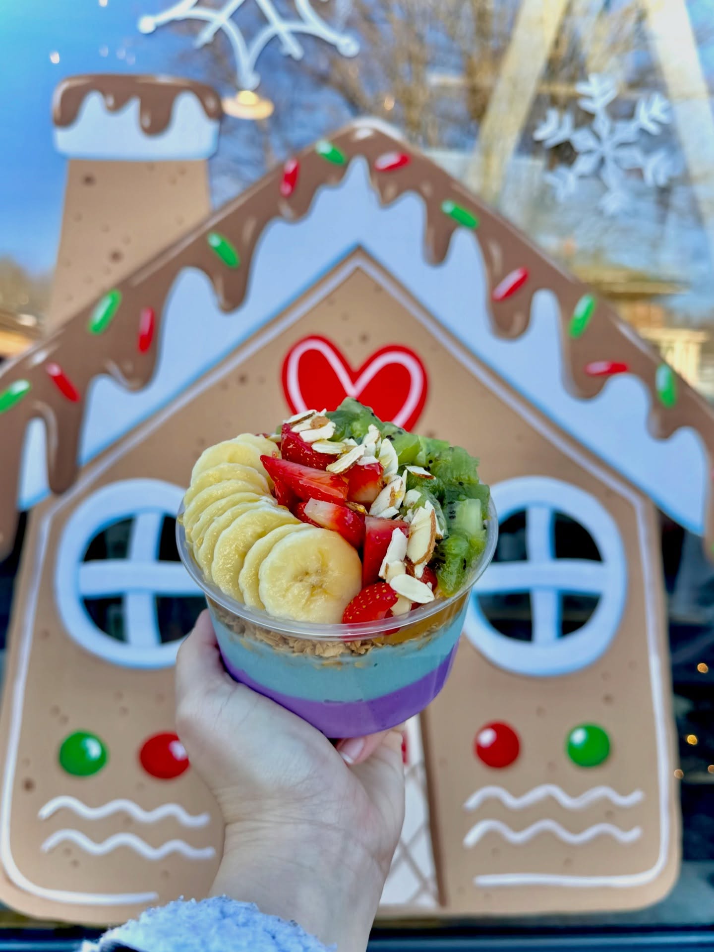 Blended Pedaler Bristol