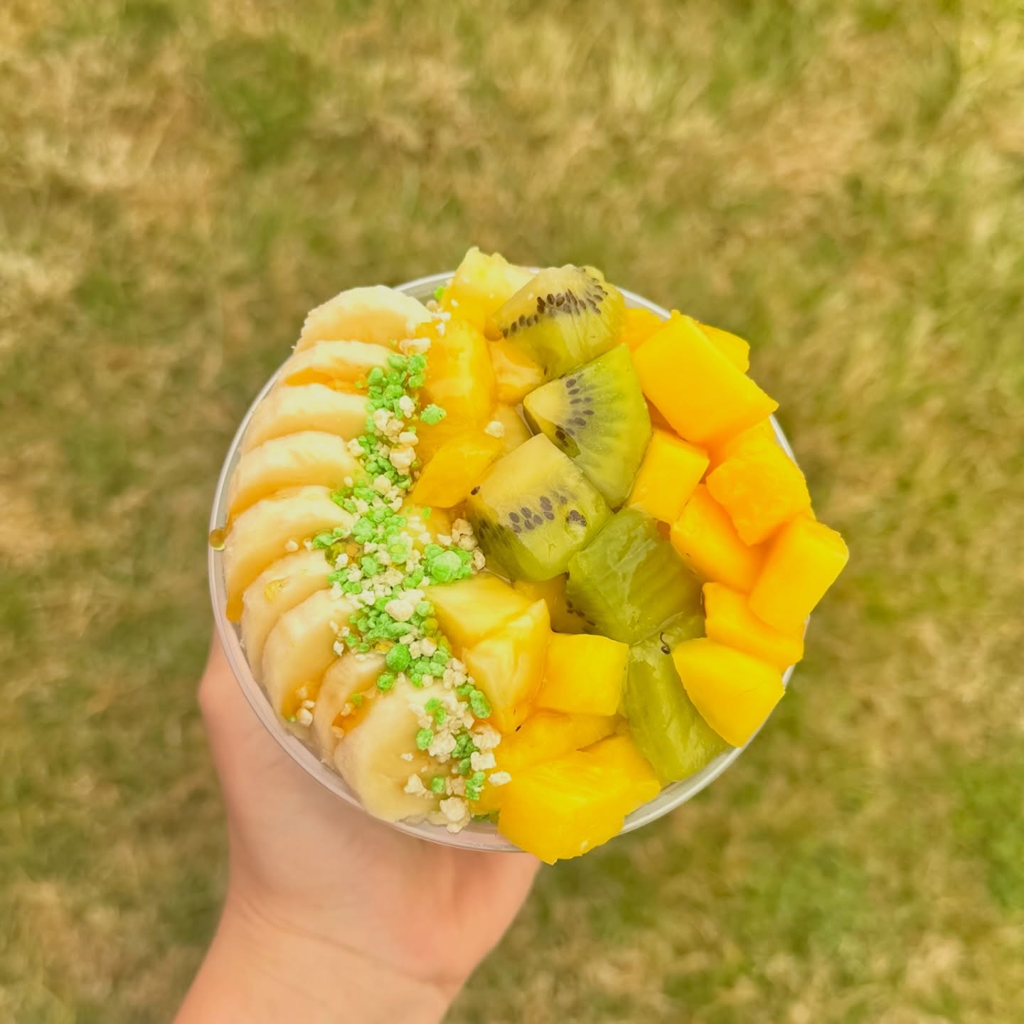 Blended Pedaler Bristol