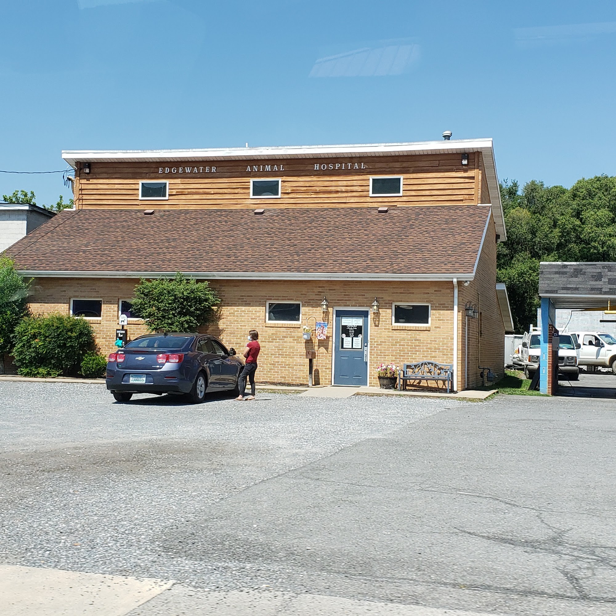 Edgewater Animal Hospital PC Buena Vista