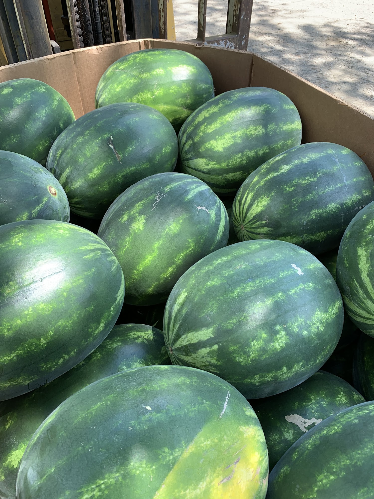 Holz Produce Bumpass