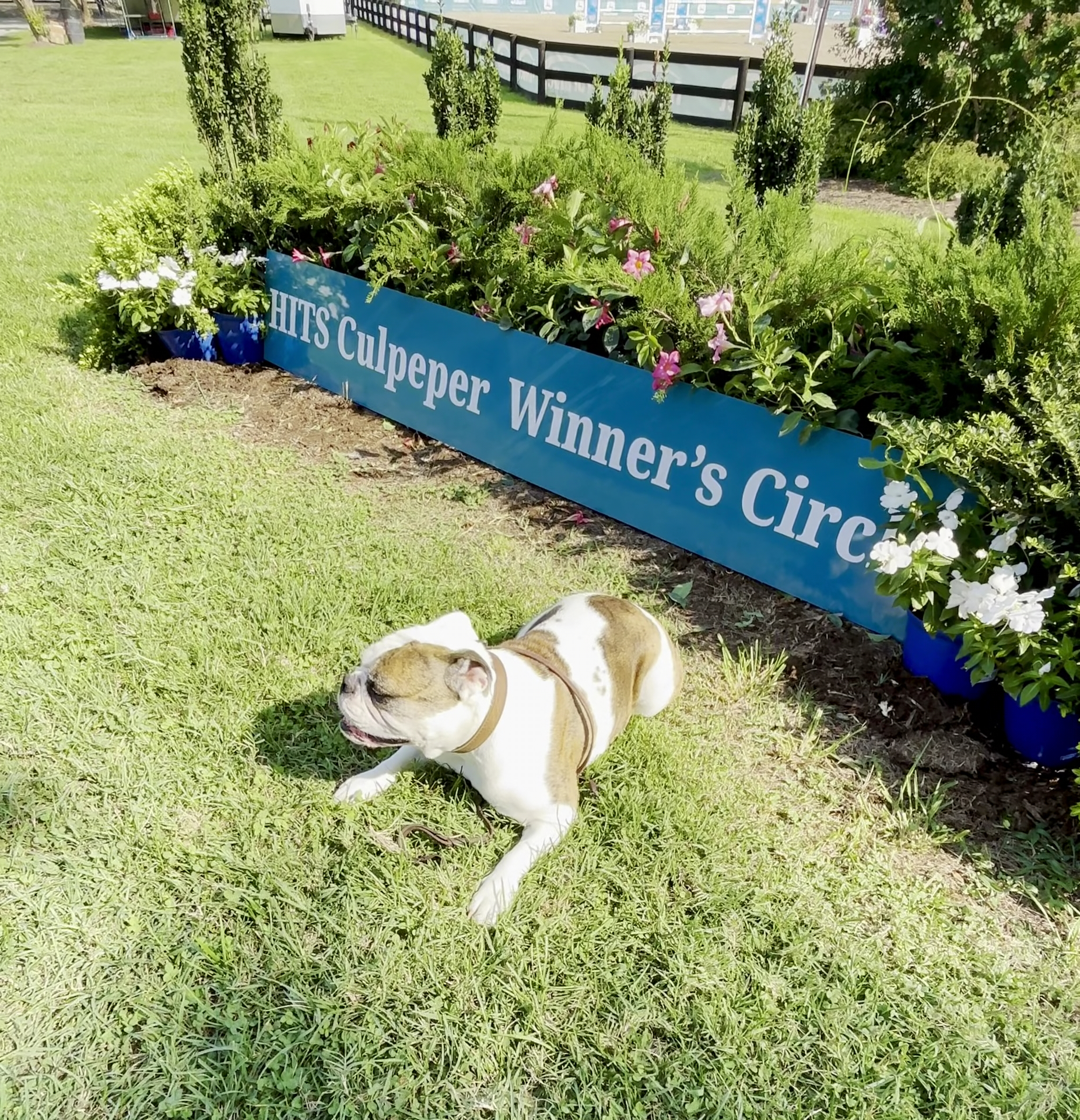 Warrenton Horse Works PLC Catlett