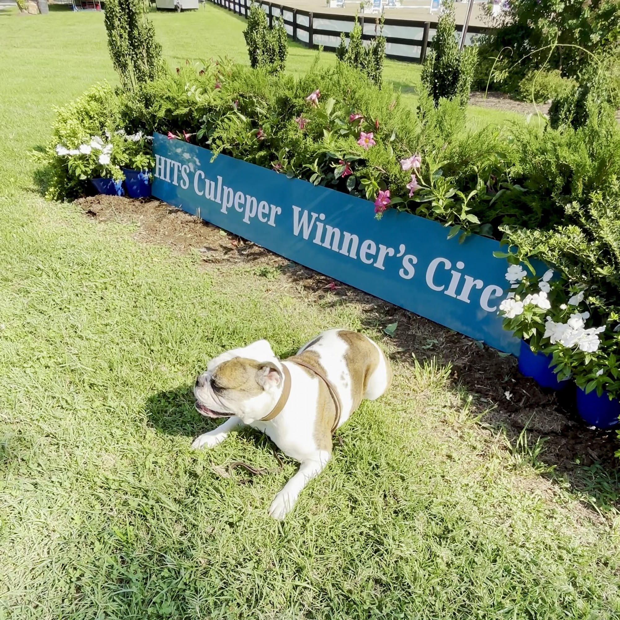 Warrenton Horse Works PLC Catlett