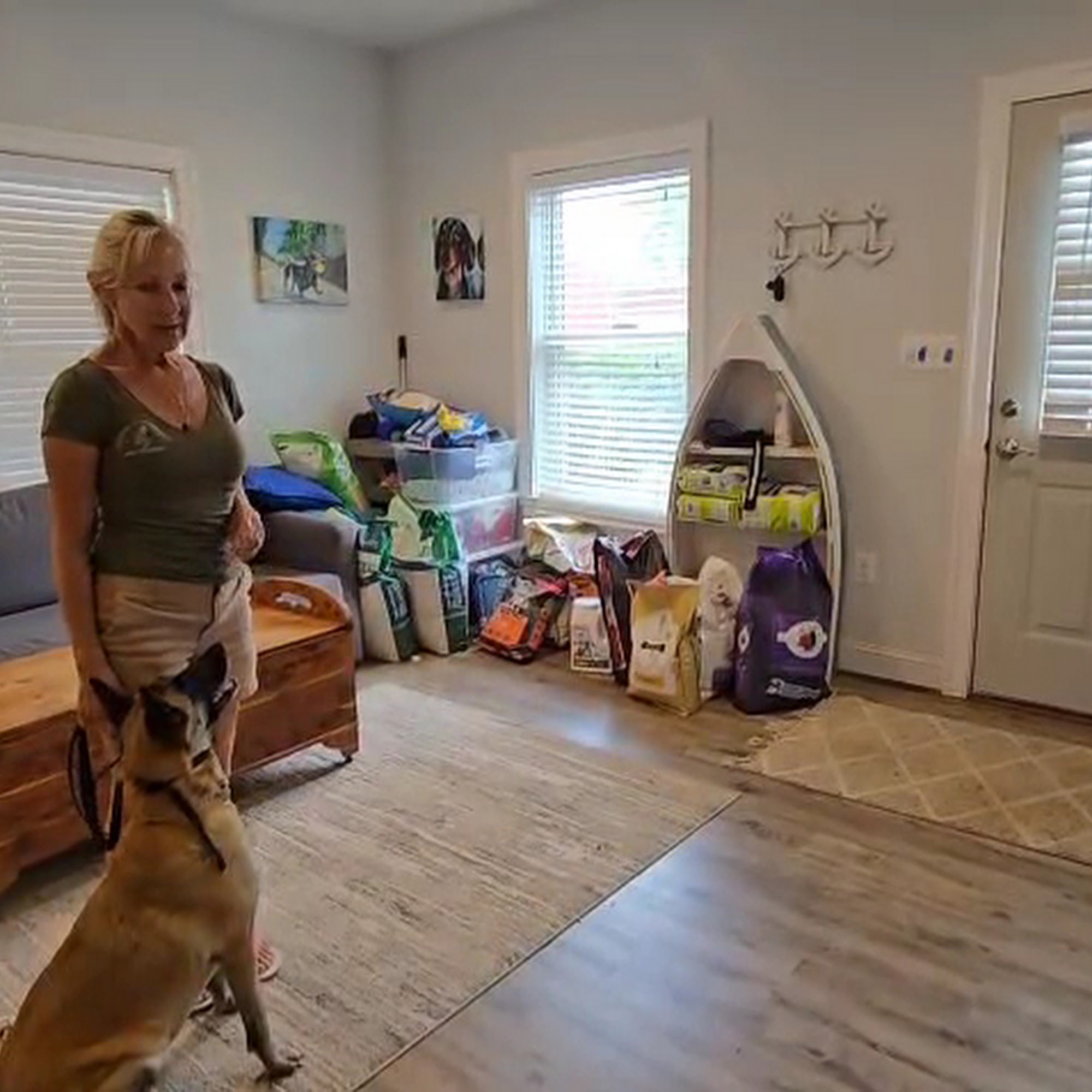 Country Club Kennels & Training Catlett