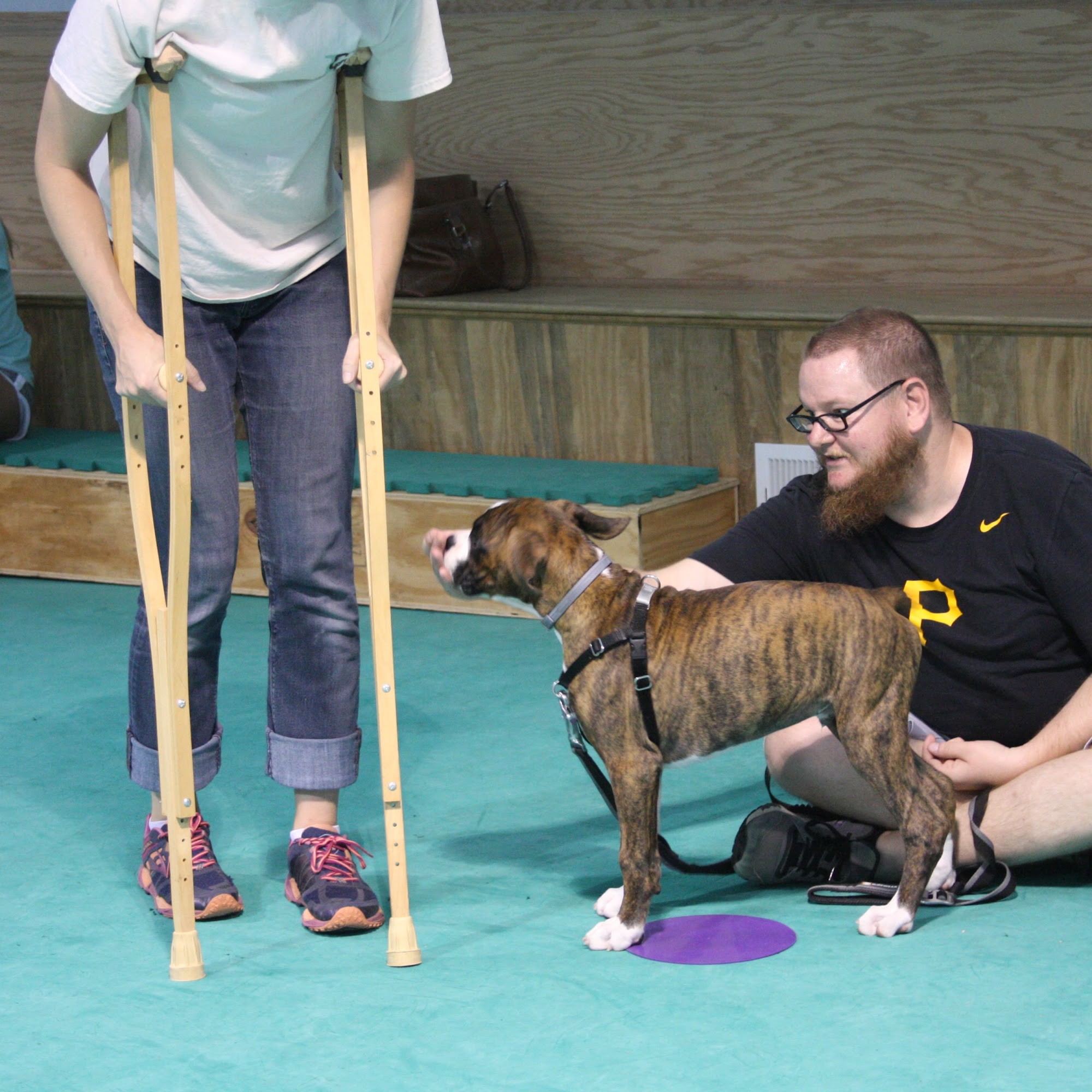 Deepwood Veterinary Clinic Centreville