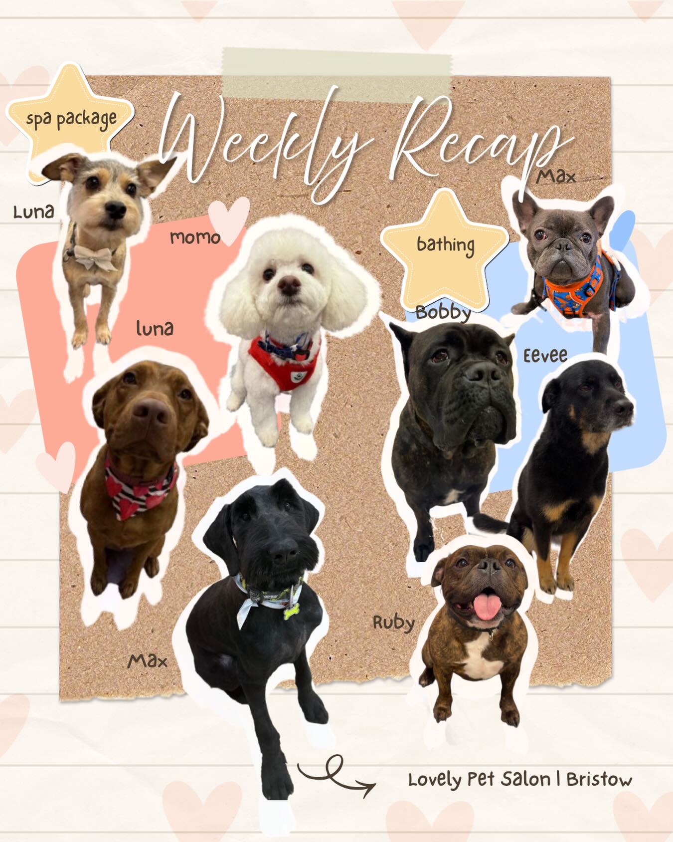 Lovely Pet Salon Chantilly