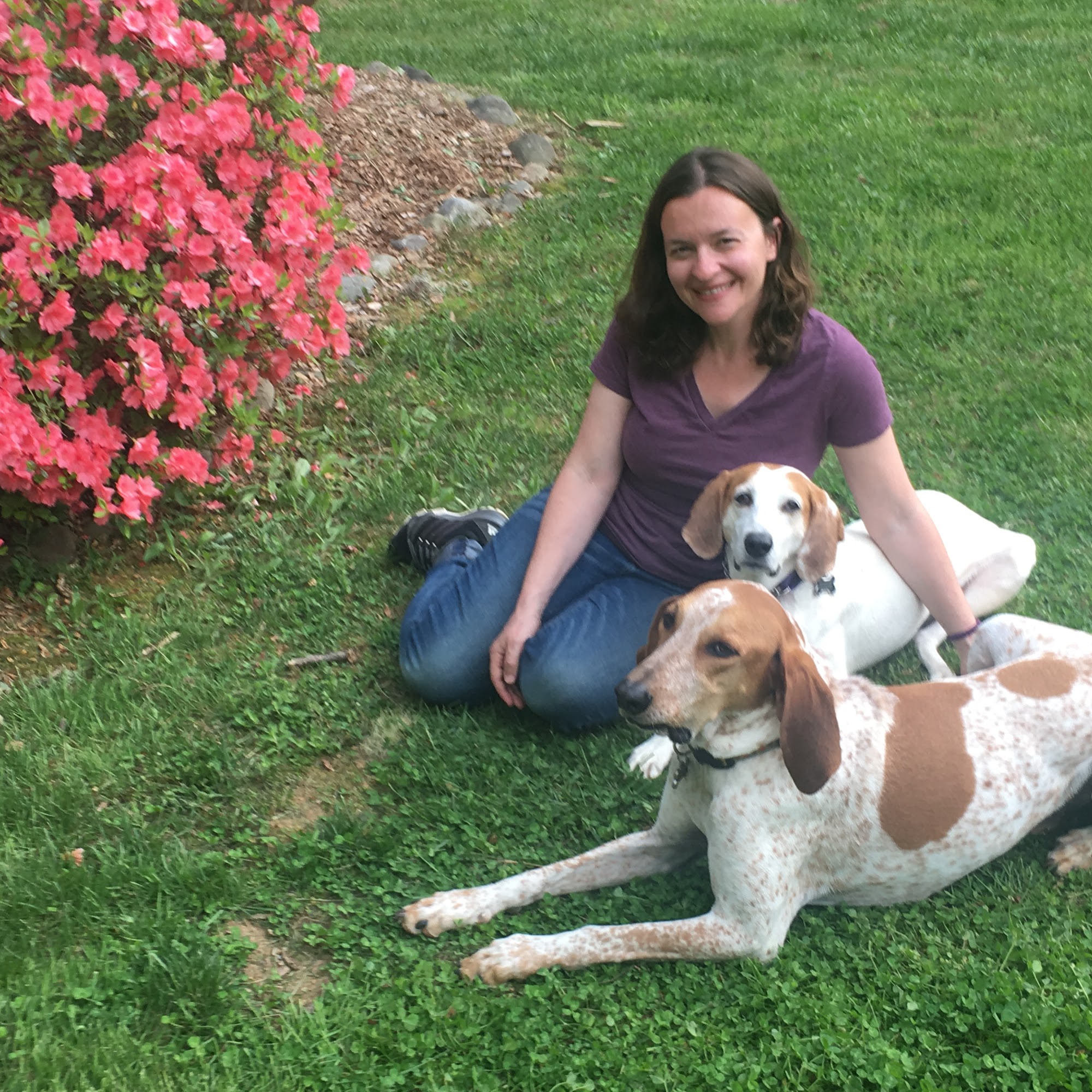 The Enlightened Dog Chantilly