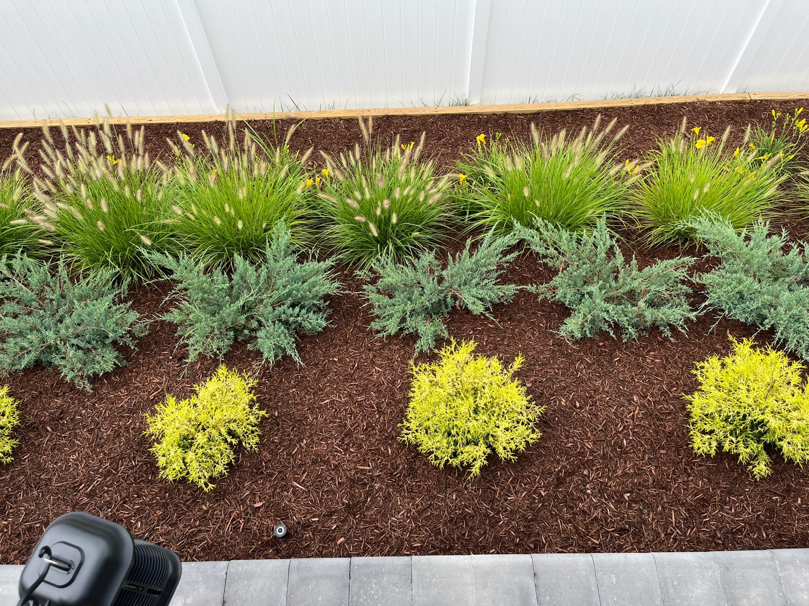 Aguilar's Lawn & Landscape