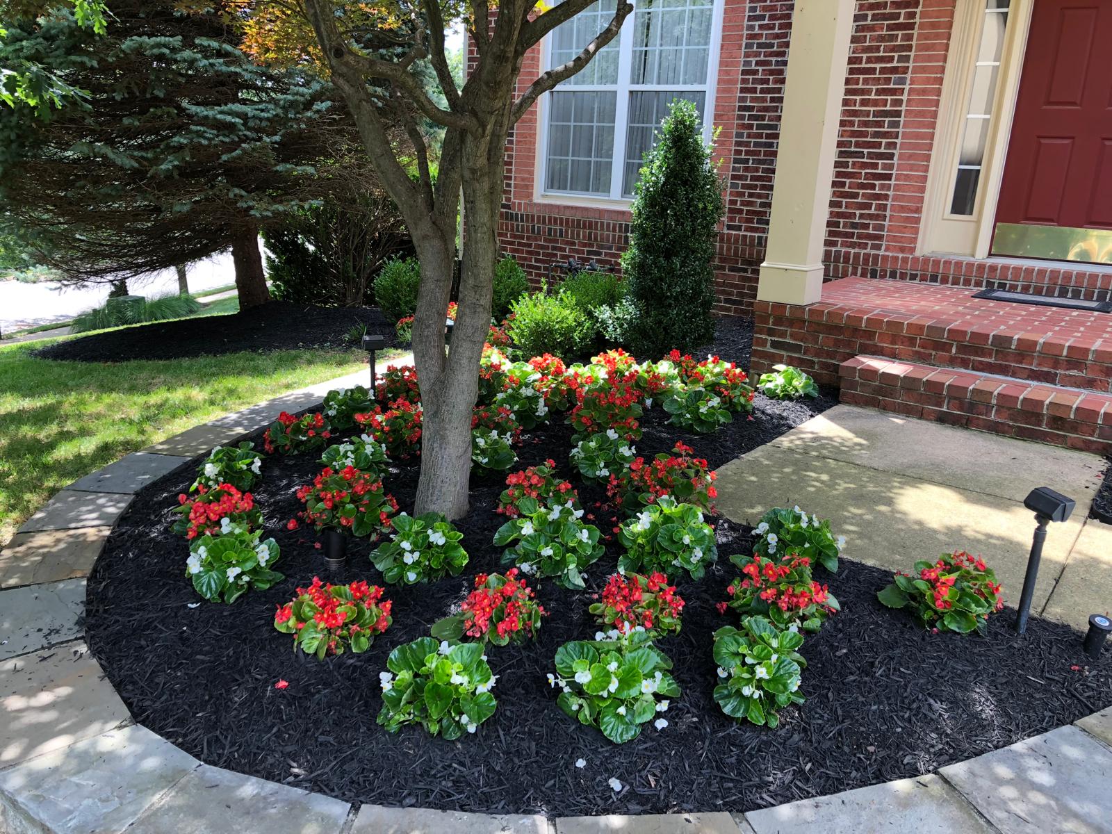 Aguilar's Lawn & Landscape 14159 Mariah Ct #900, Chantilly Virginia 20151