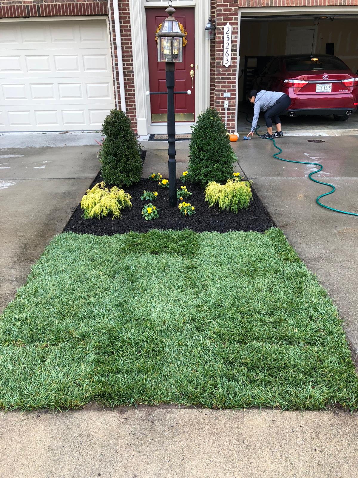 Aguilar's Lawn & Landscape