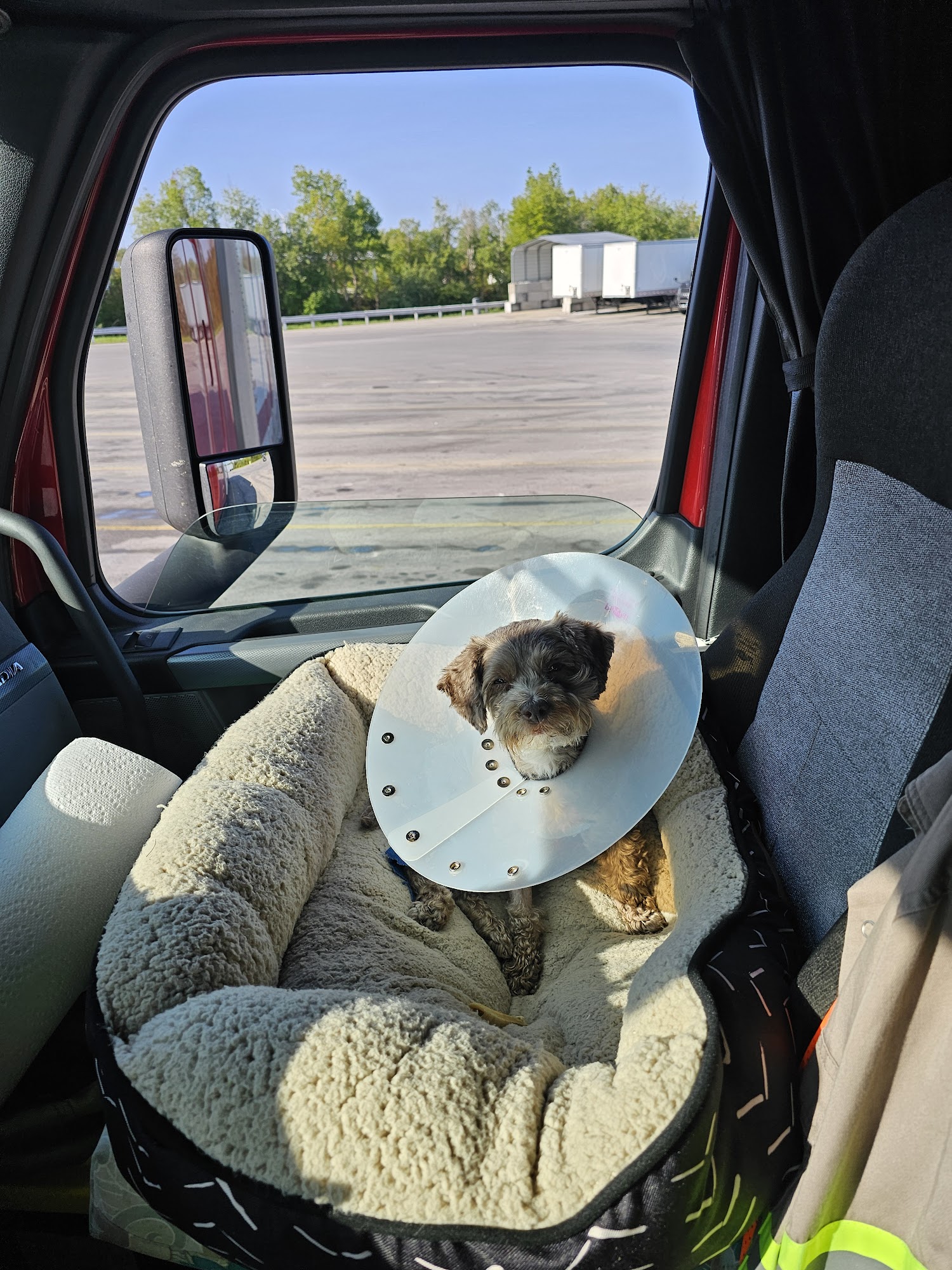 LifeCare Pet Hospital Chantilly