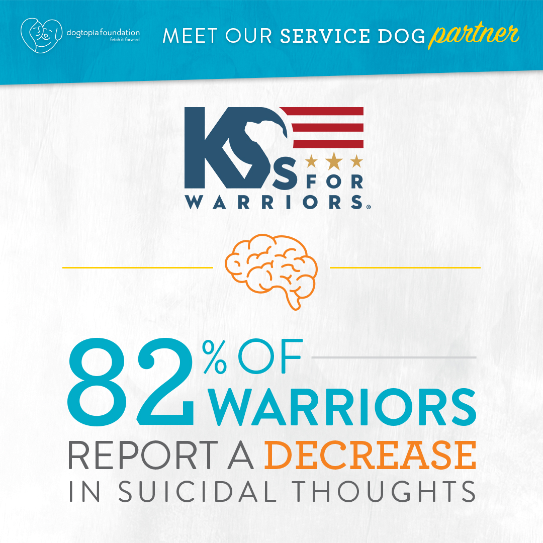 Dogtopia of Dulles Chantilly