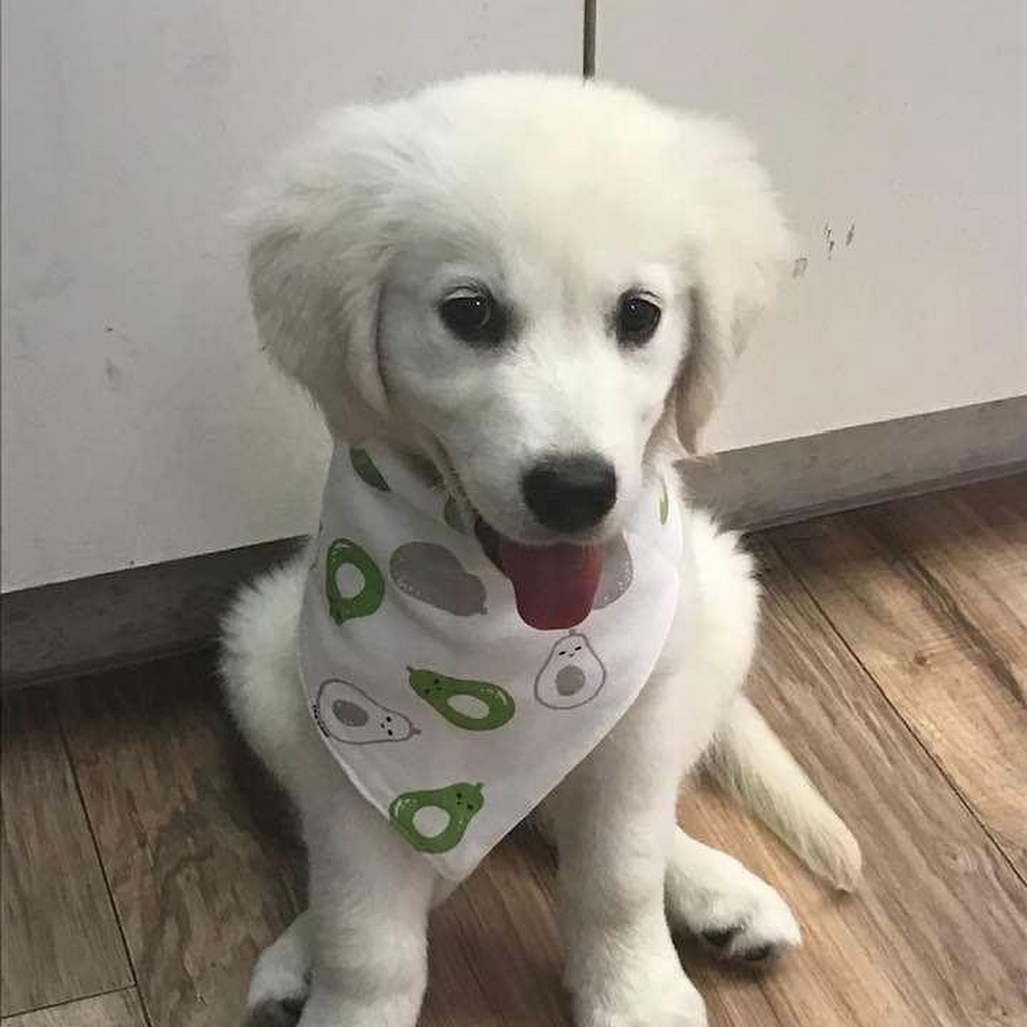 Crate & Marrow Charlottesville