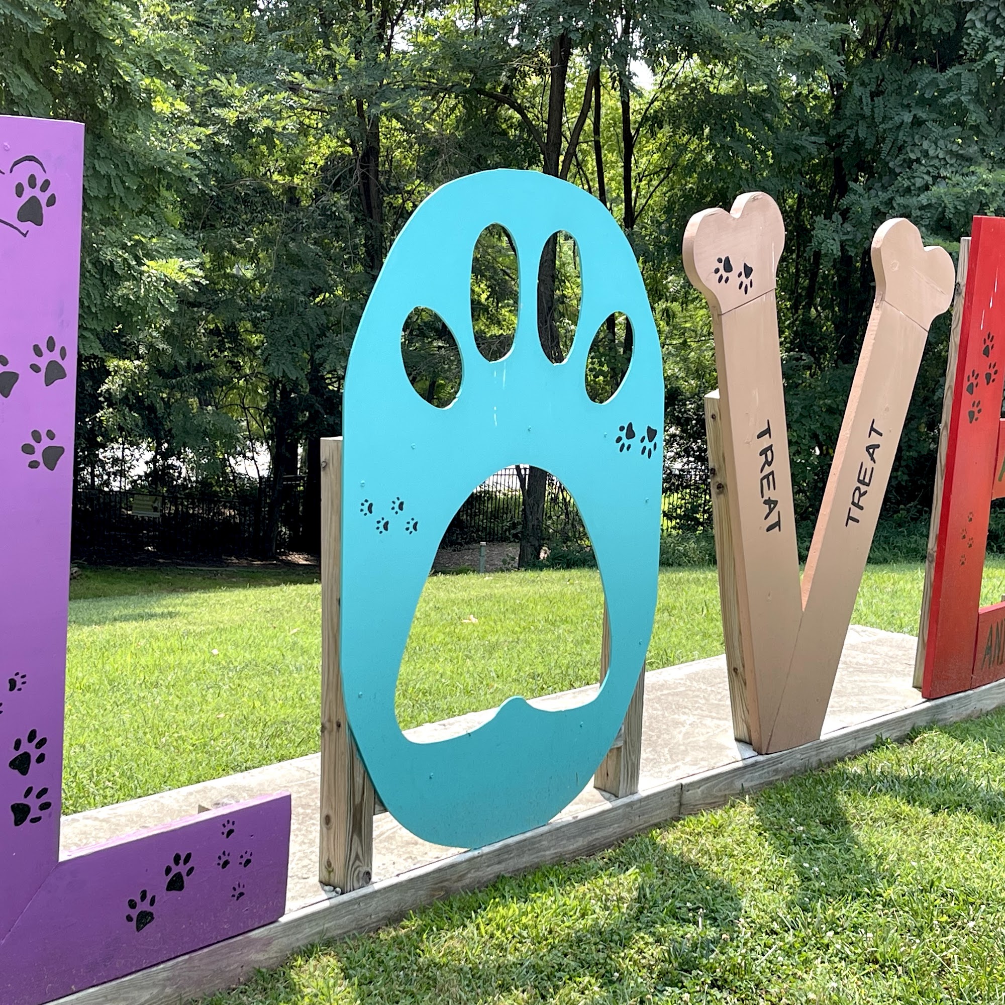 Charlottesville Albemarle SPCA Charlottesville