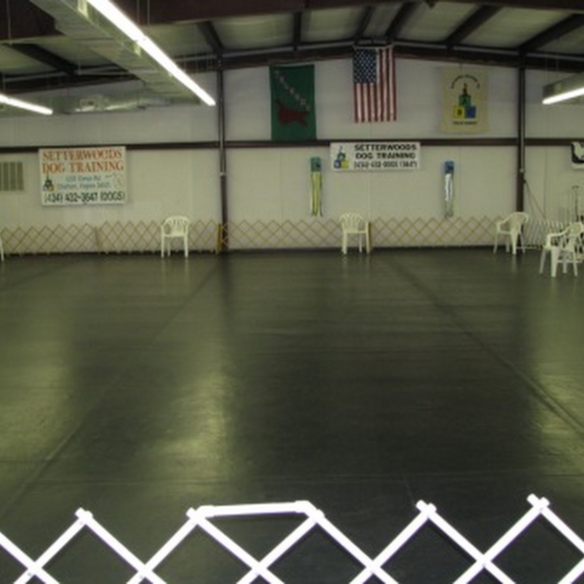 Setterwoods Dog Training Chatham