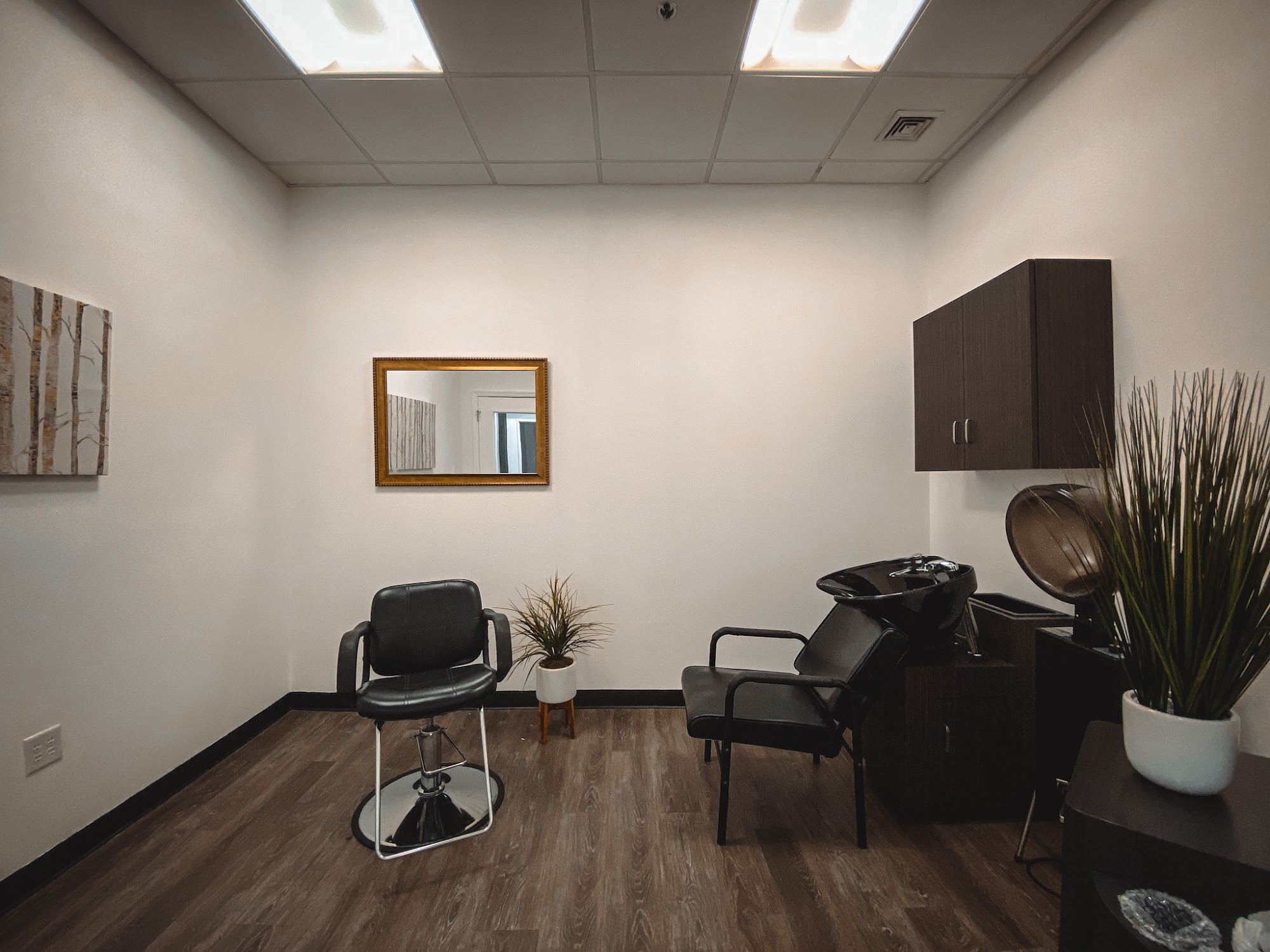 Phenix Salon Suites