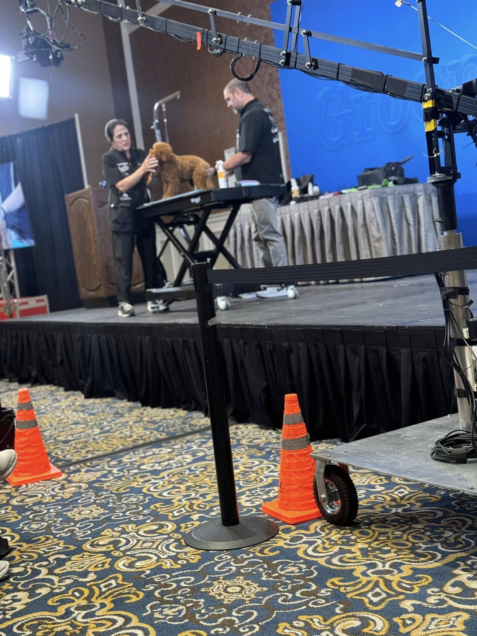 Canine Corner Chesapeake