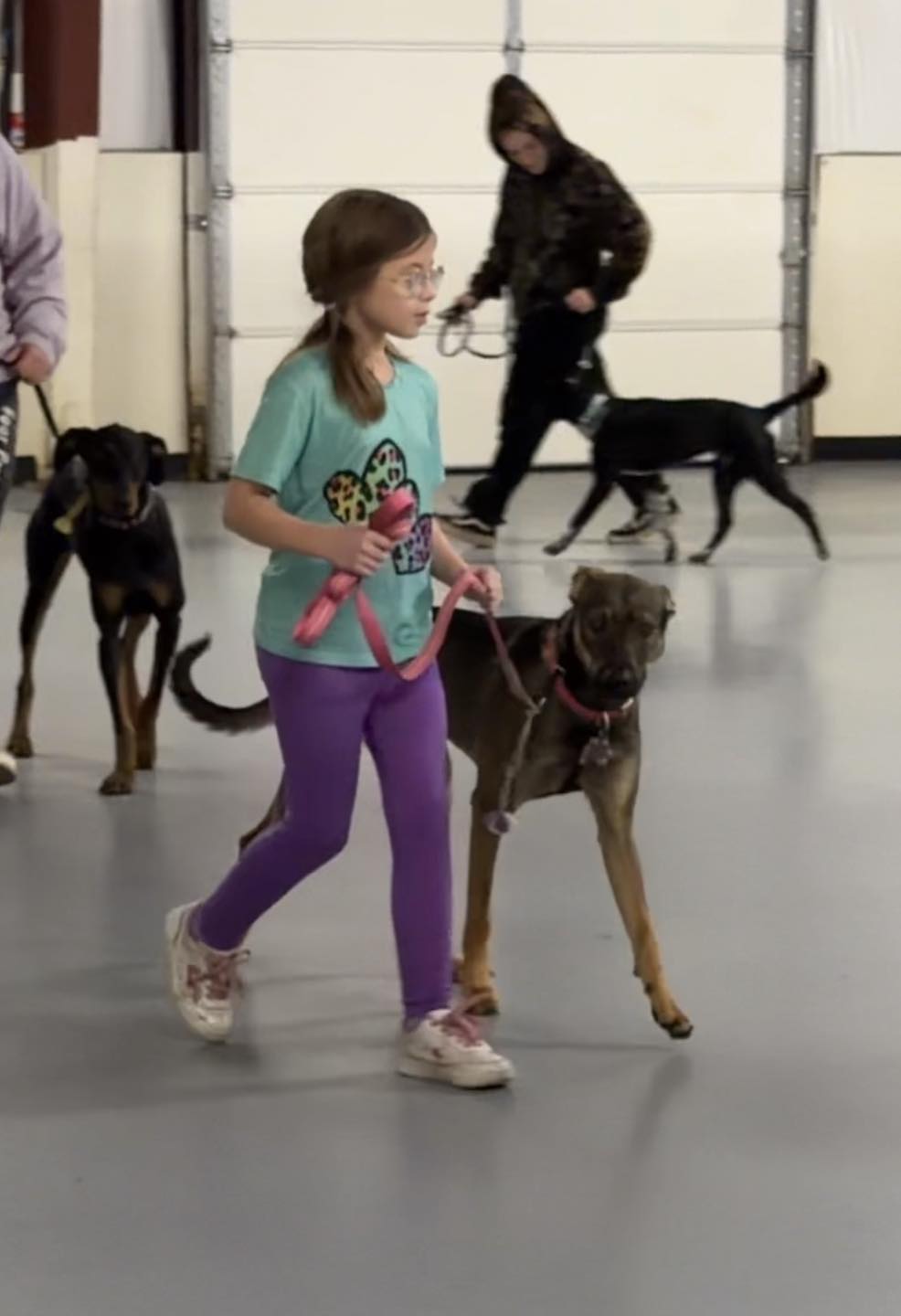 Canine Training Unlimited Chesapeake