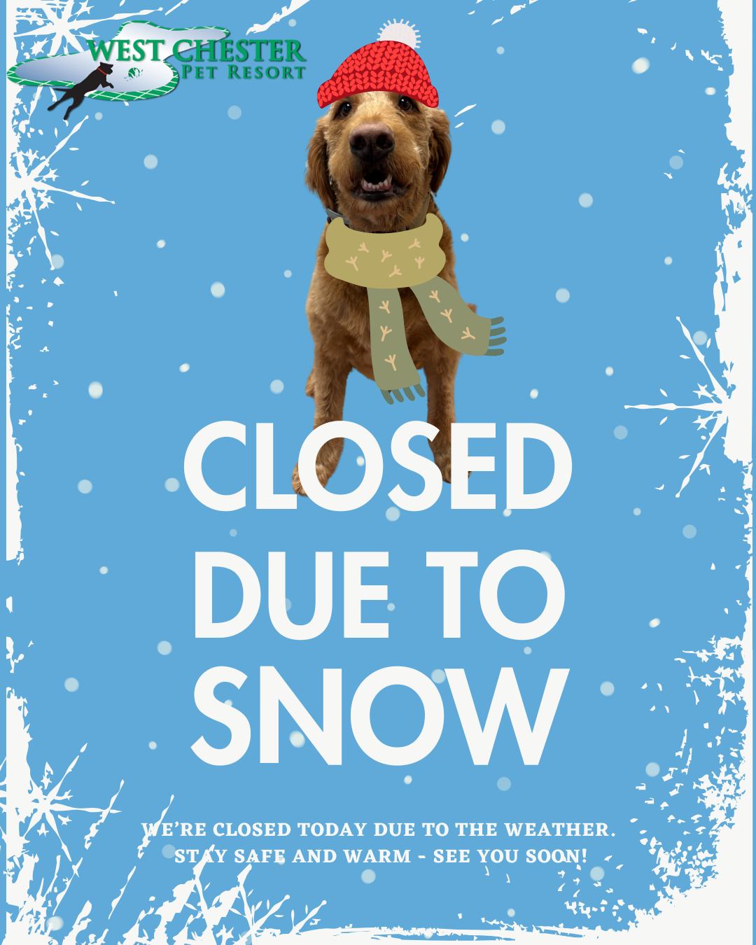 West Chester Pet Resort Chester