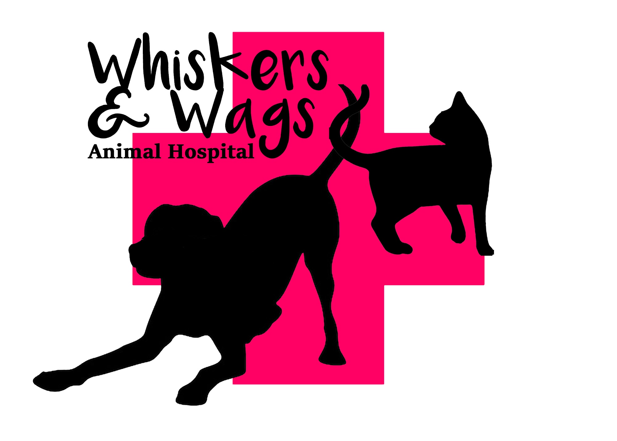 Whiskers and Wags Animal Hospital Chester